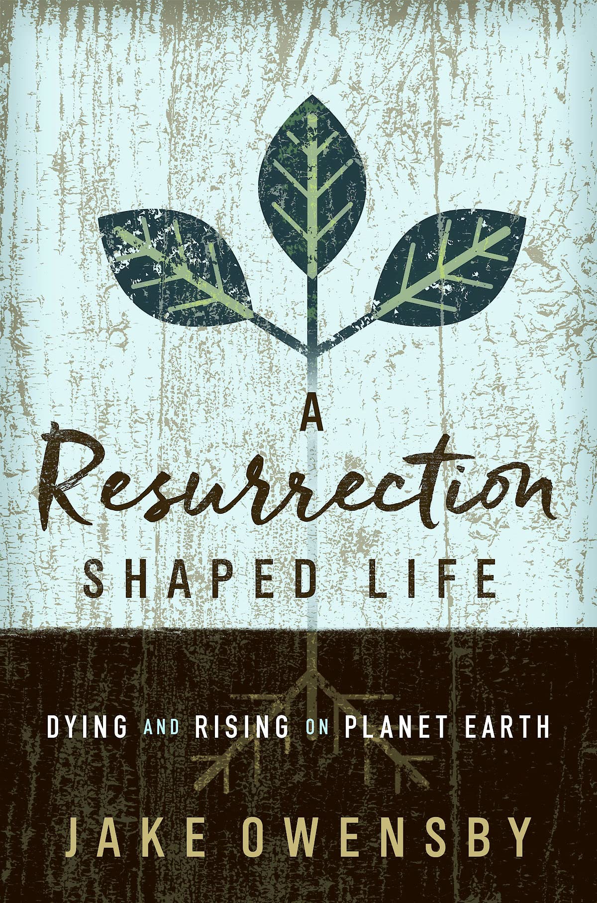 A Resurrection Shaped Life: Dying and Rising on Planet Earth - 3791