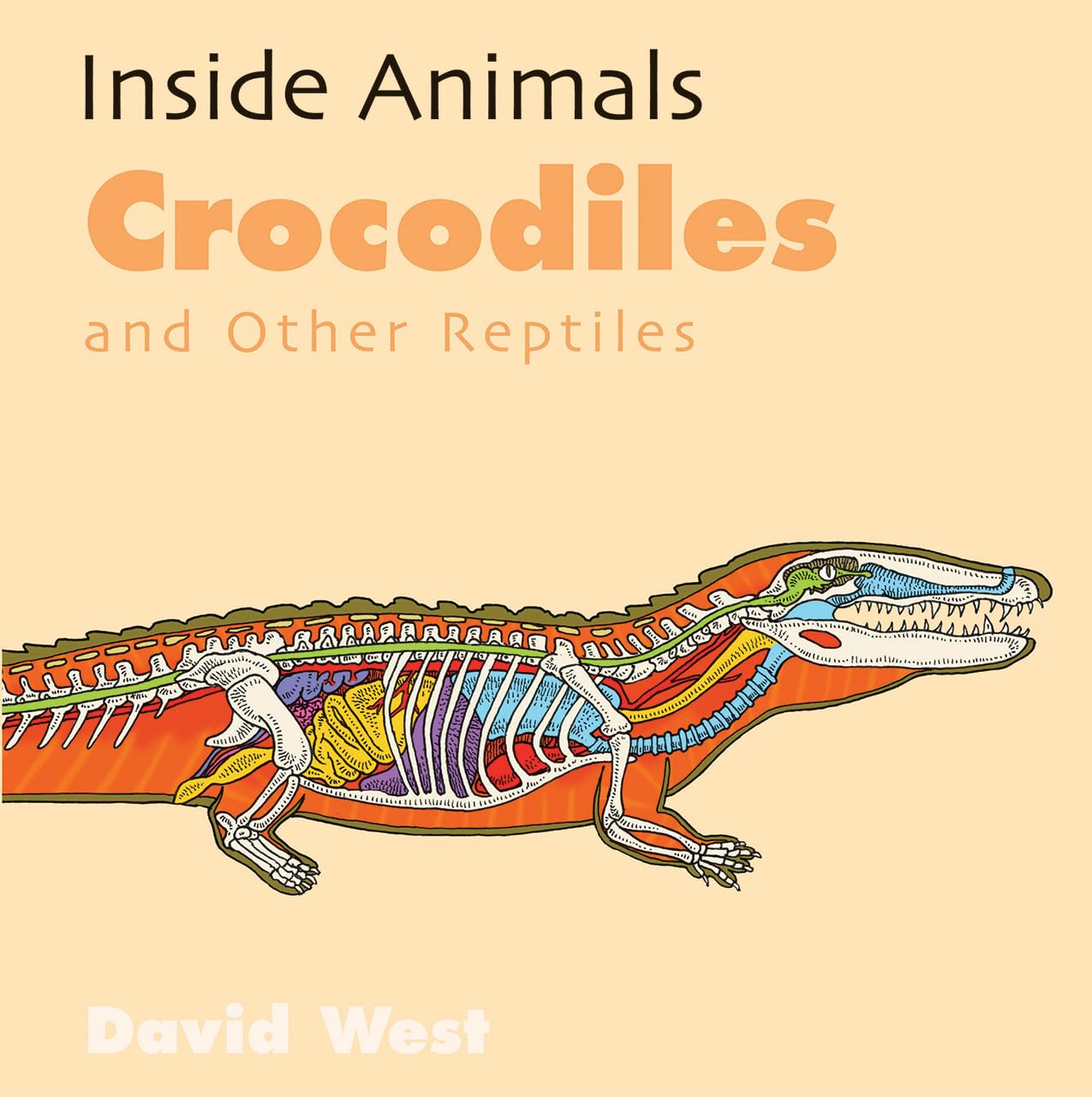 Crocodiles and Other Reptiles (Inside Animals) - 2081