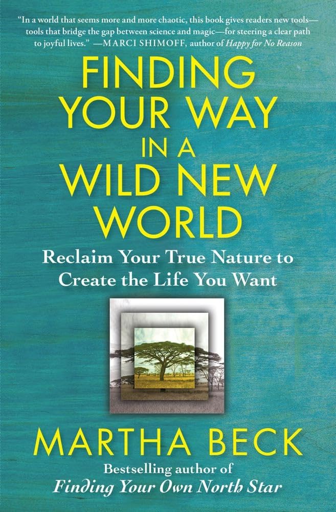 Finding Your Way in a Wild New World: Reclaim Your True Nature to Create the Life You Want - 484