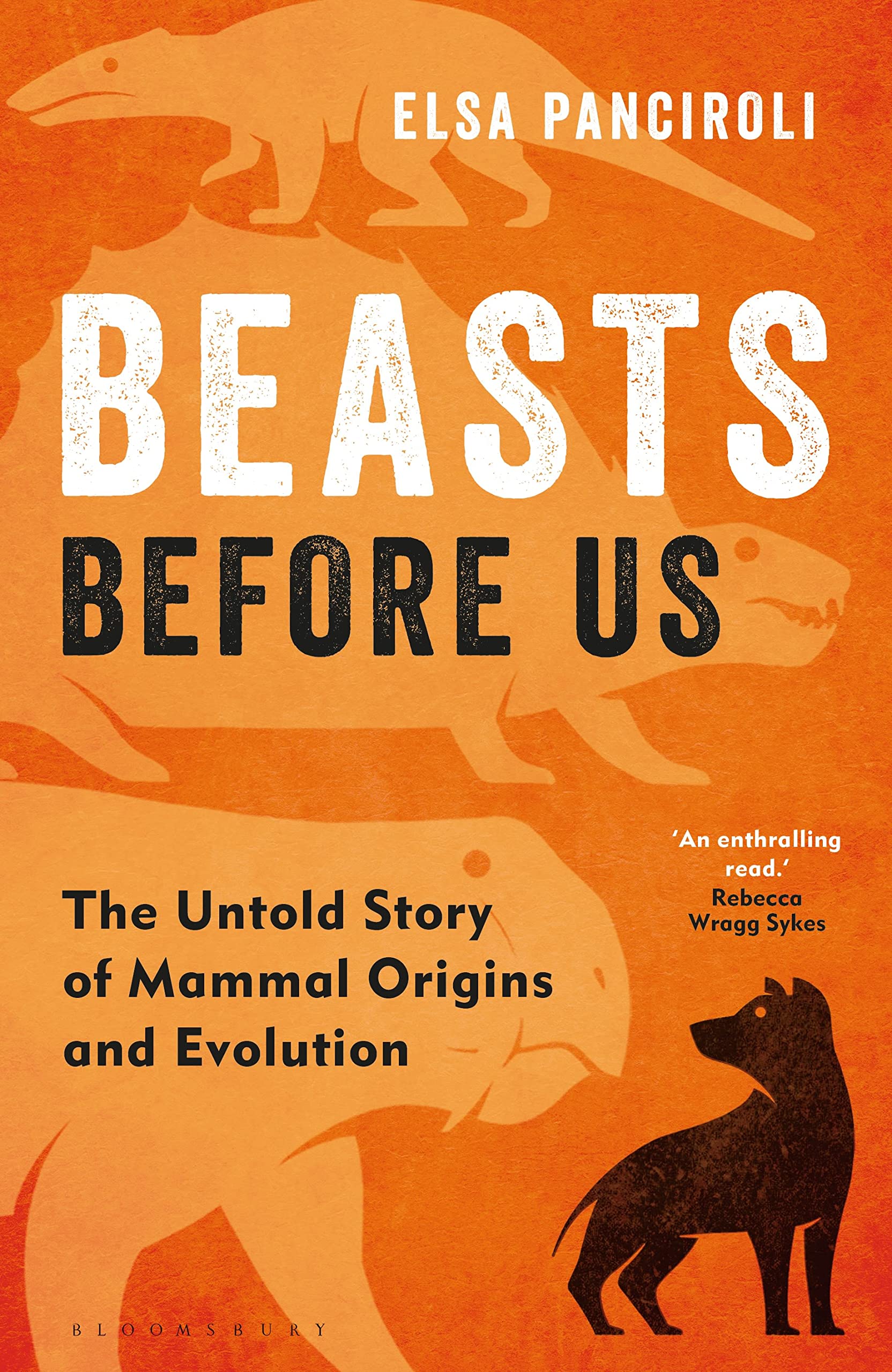 Beasts Before Us: The Untold Story of Mammal Origins and Evolution - 8849