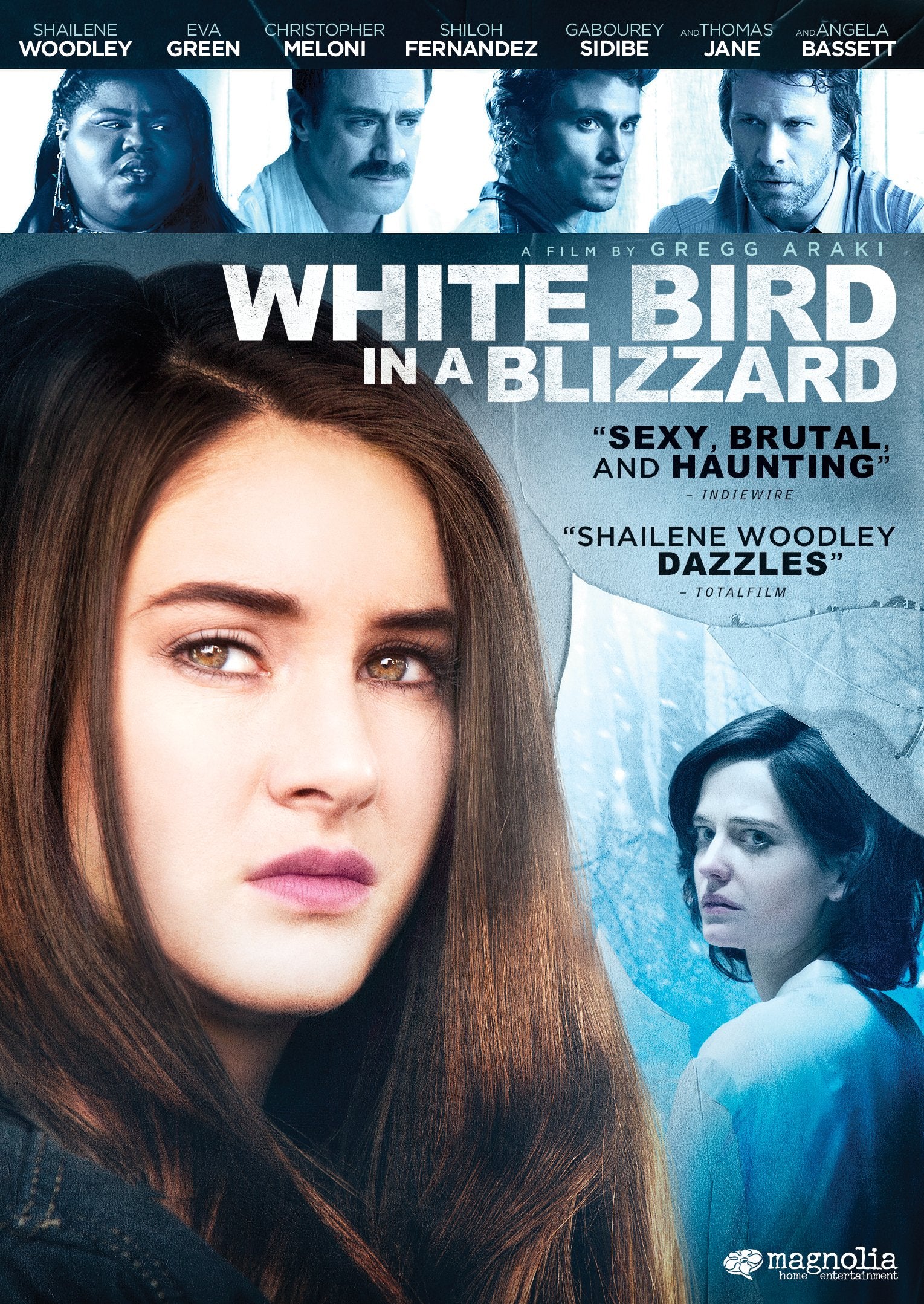 White Bird in a Blizzard - 5522