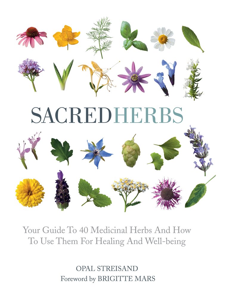 Sacred Herbs: Your Guide to 40 Medicinal Herbs and How to Use Them for Healing and Well-Being - 7610