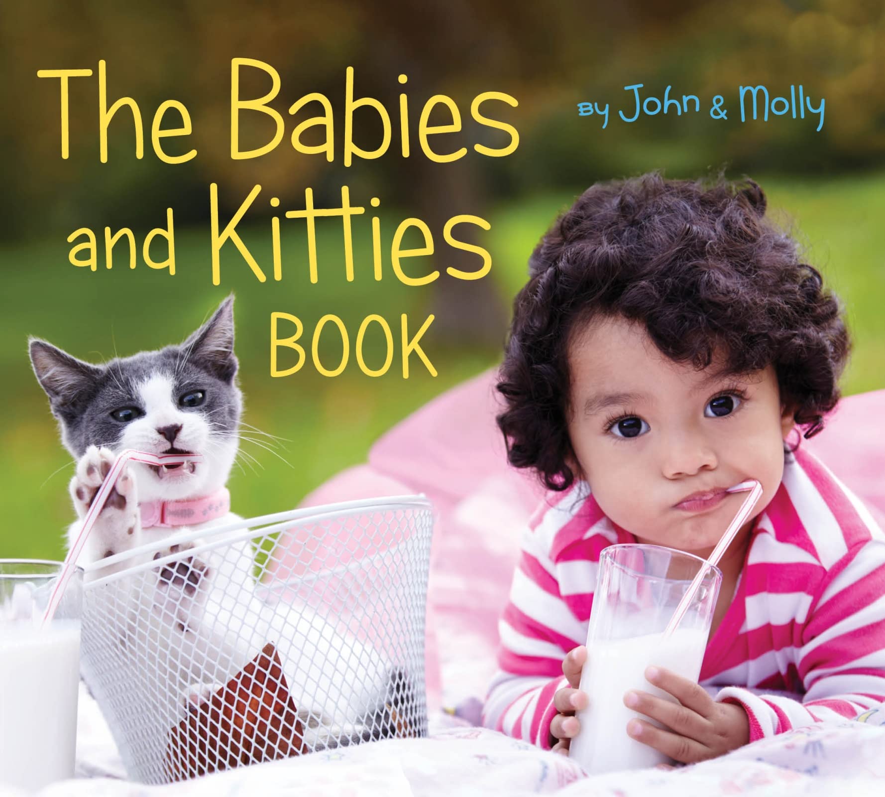 The Babies and Kitties Book - 8233