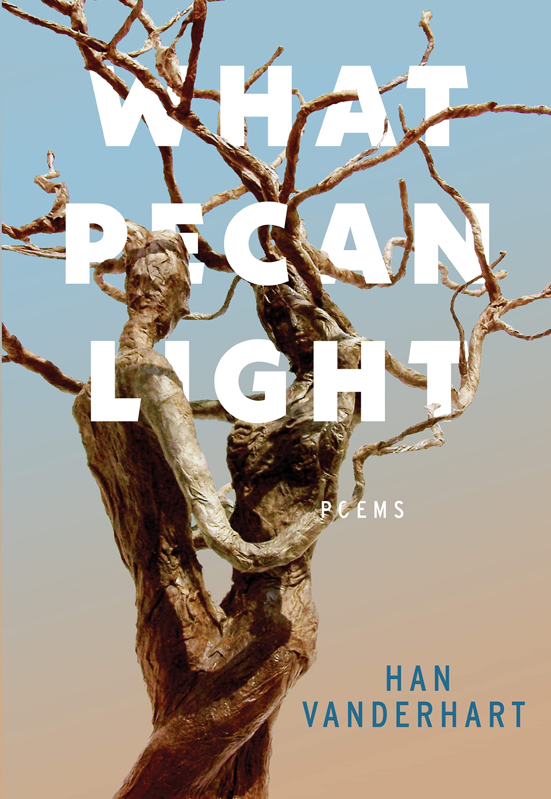 What Pecan Light - 5704