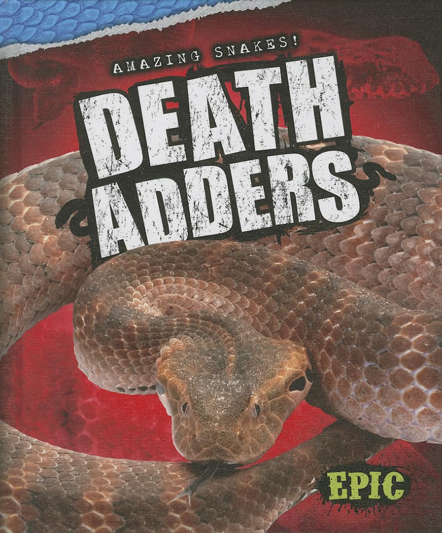 Death Adders (Amazing Snakes!) - 2197