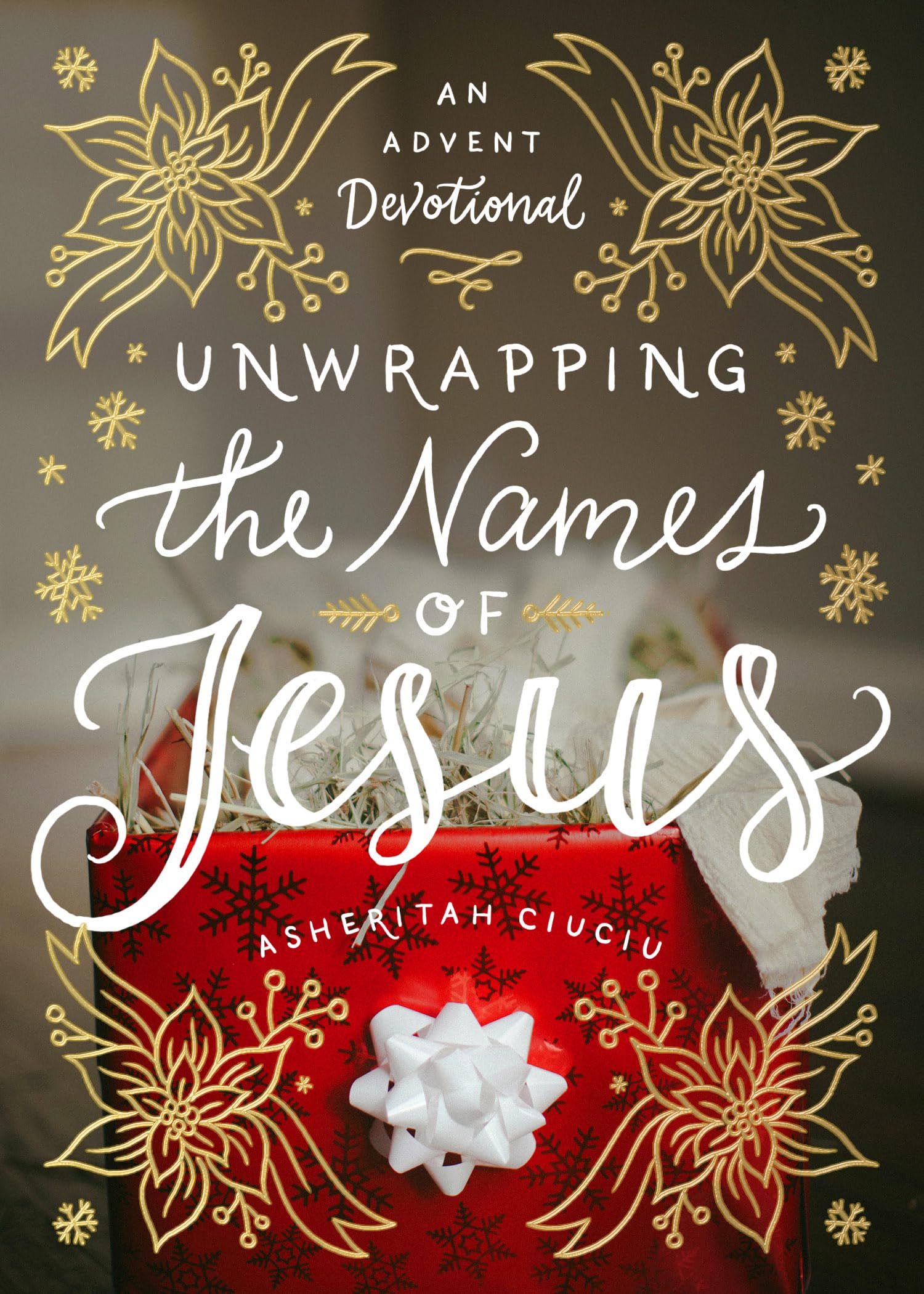 Unwrapping the Names of Jesus: An Advent Devotional - 2448