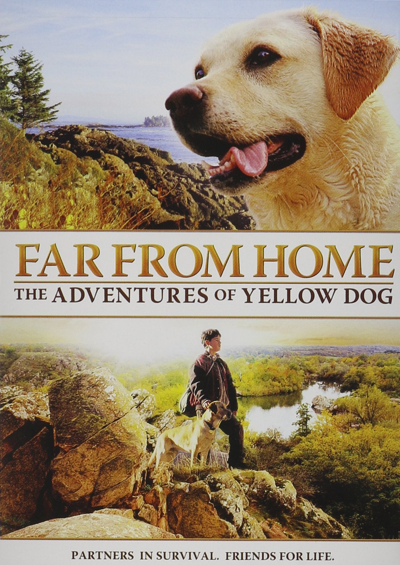 Far From Home - The Adventures Of Yellow Dog - 2237