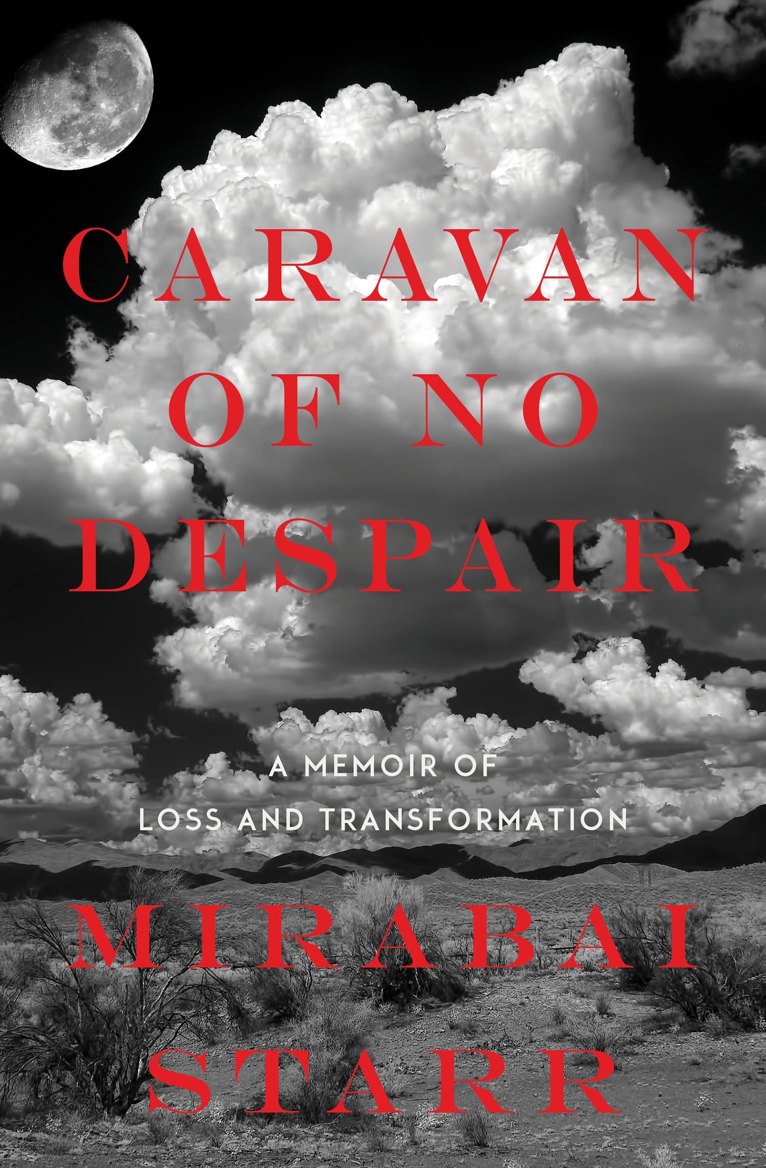 Caravan of No Despair - 8952