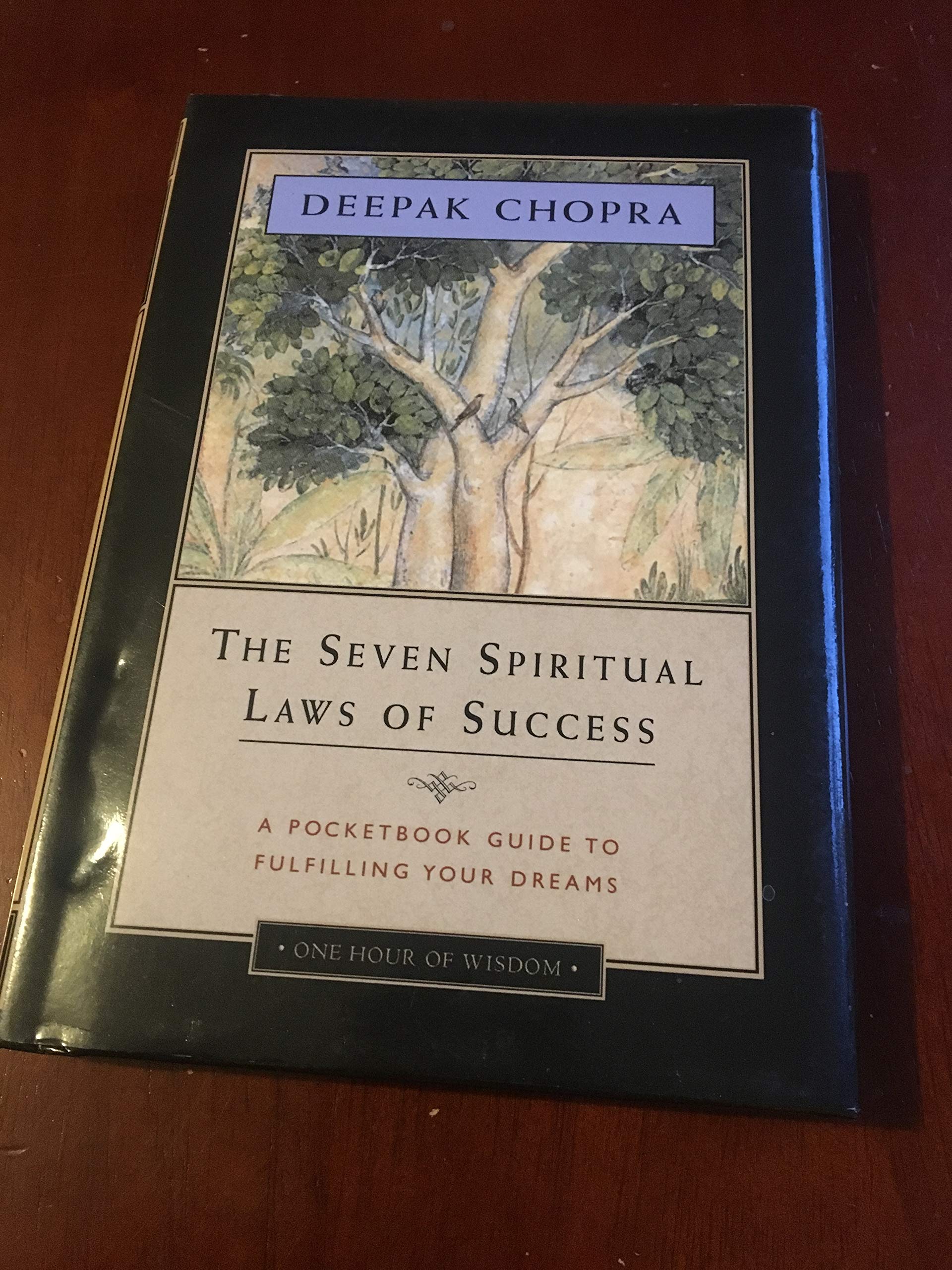 The Seven Spiritual Laws of Success: A Pocketbook Guide to Fulfilling Your Dreams (One Hour of Wisdom) - 8448