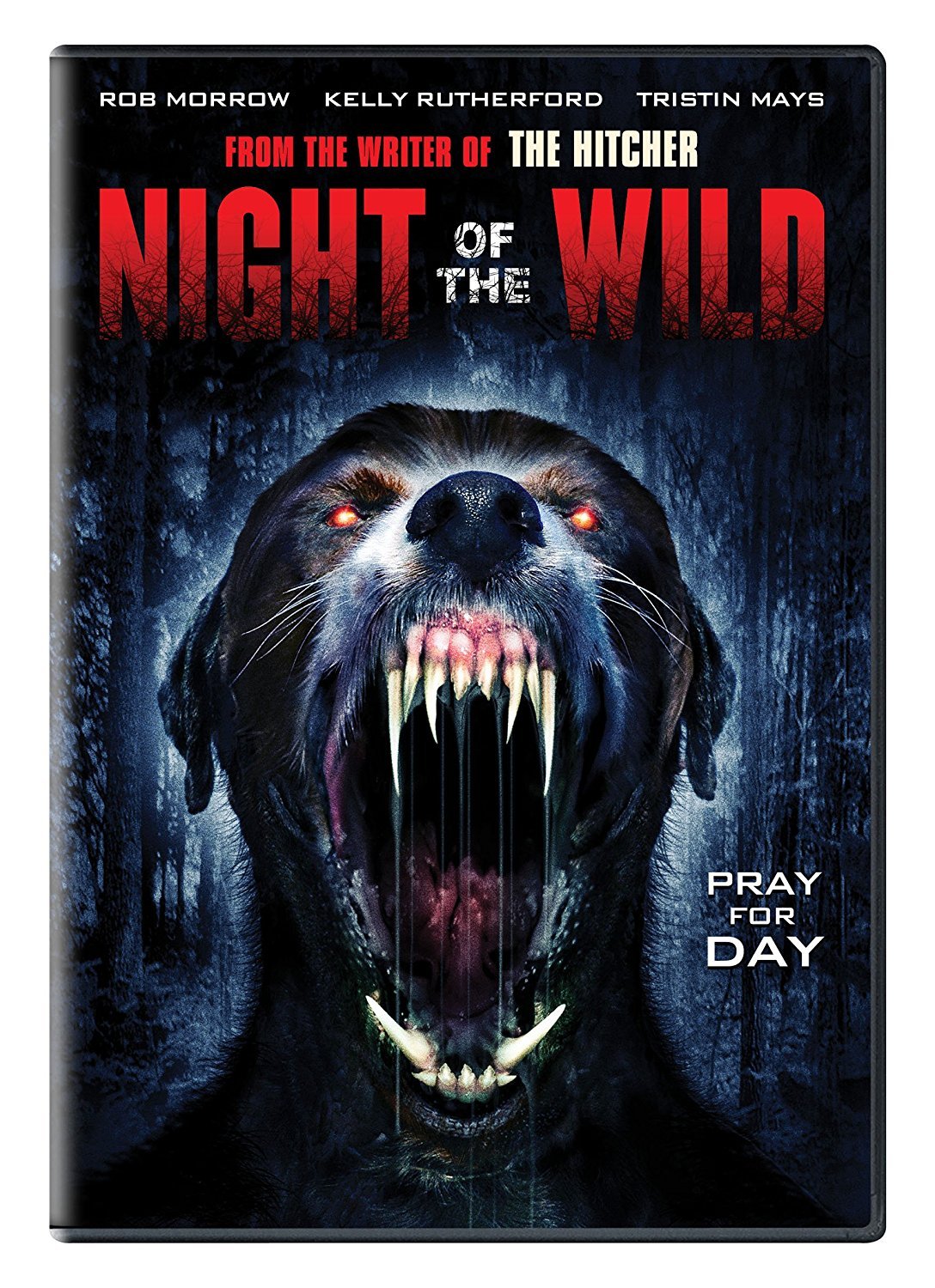 Night of the Wild - 4684