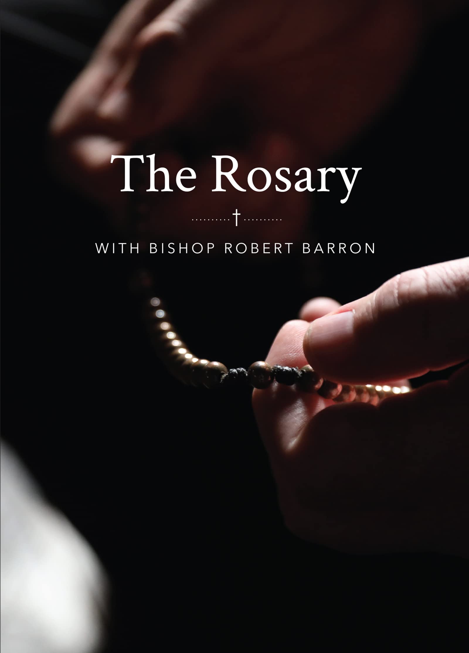 The Rosary with Bishop Barron - 5551