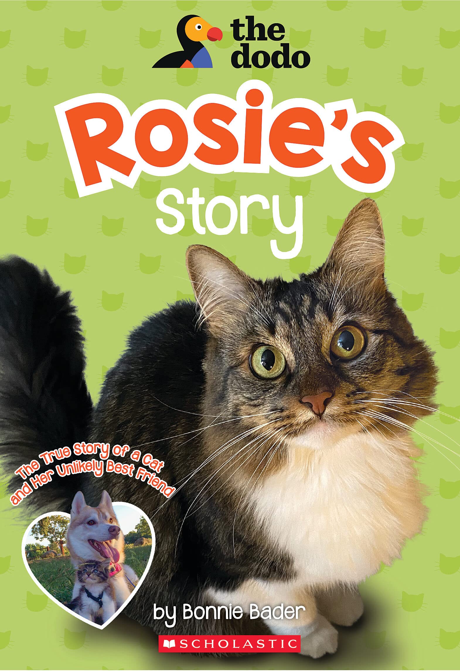 Rosie’s Story (The Dodo) - 3445