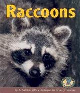 Raccoons (Early Bird Nature Books) - 4636