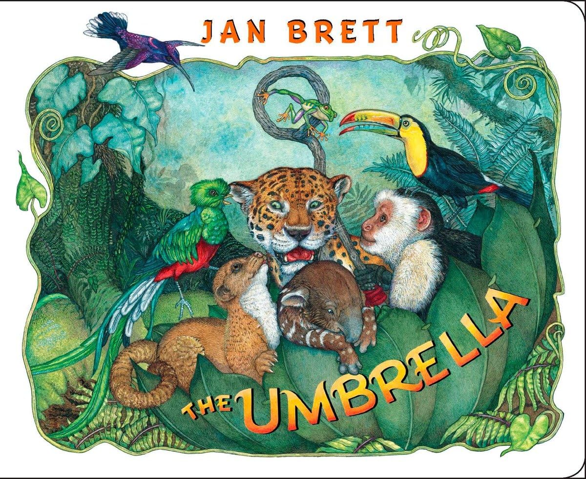 The Umbrella: board book - 6398