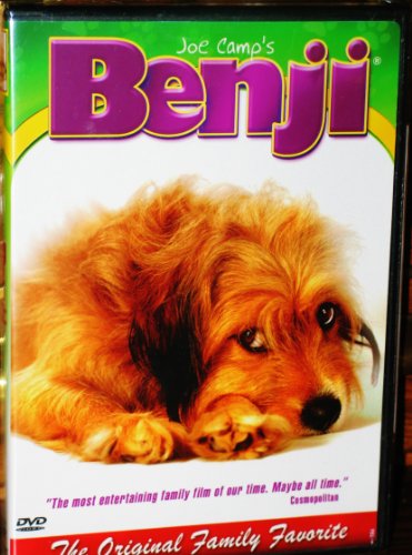 Benji - 2913