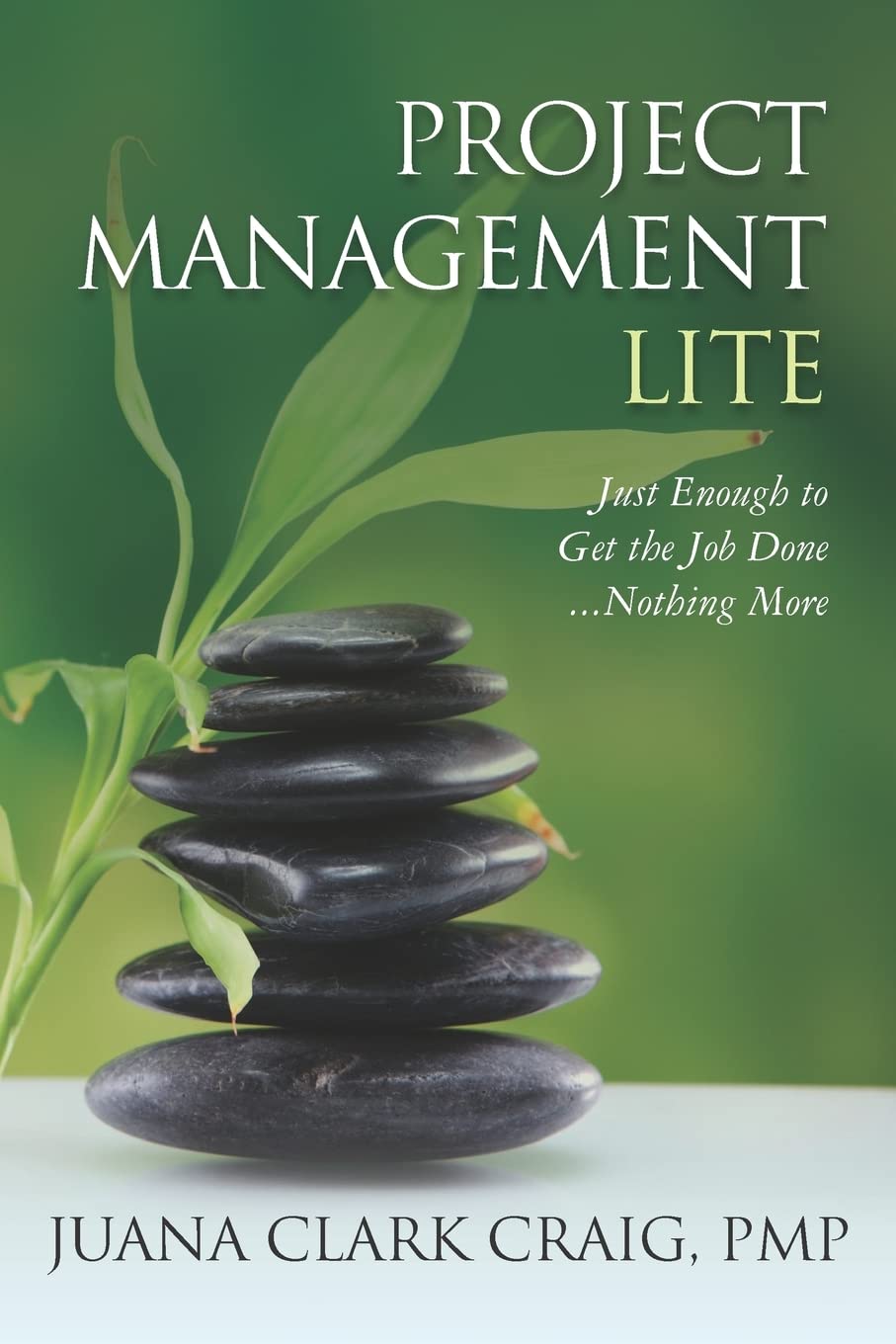 Project Management Lite: Just Enough to Get the Job Done...Nothing More - 1823