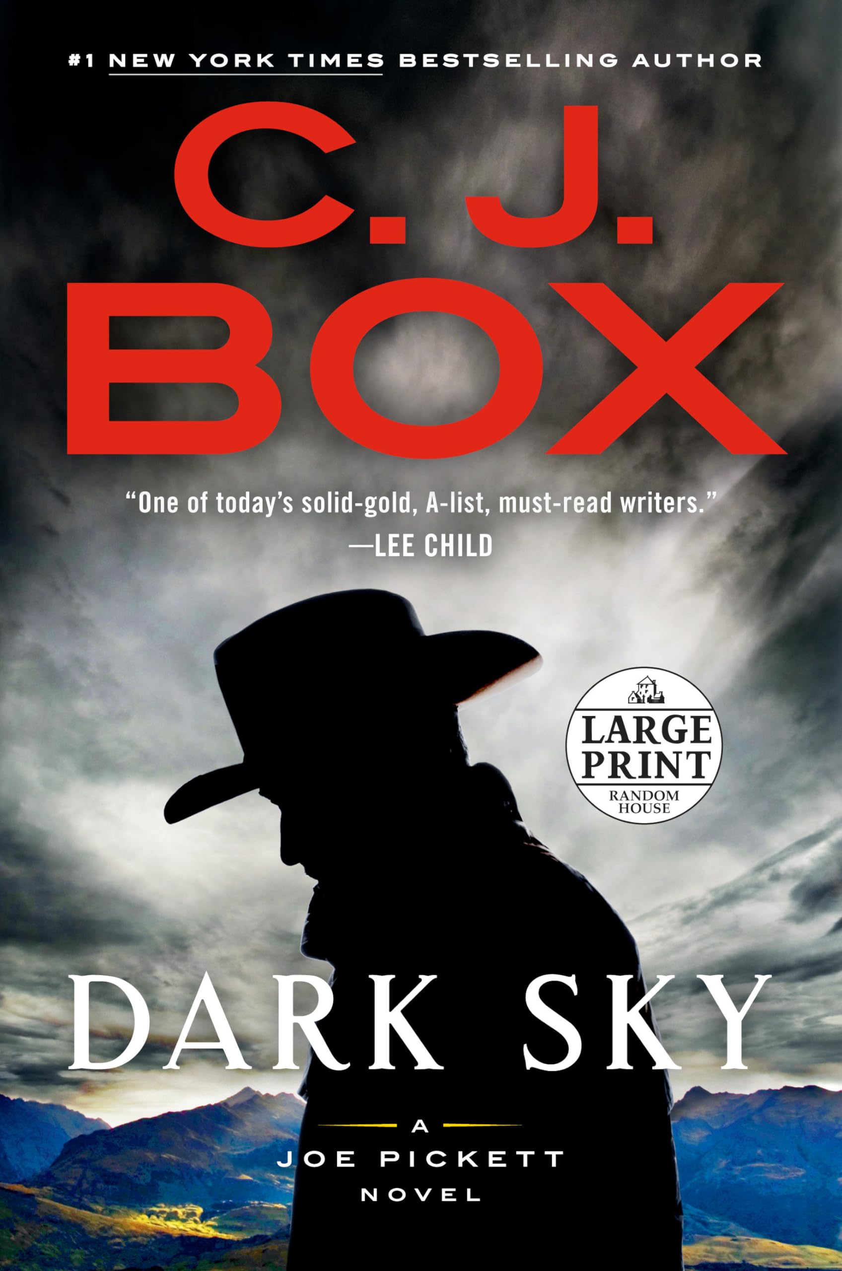 Dark Sky (A Joe Pickett Novel) - 257