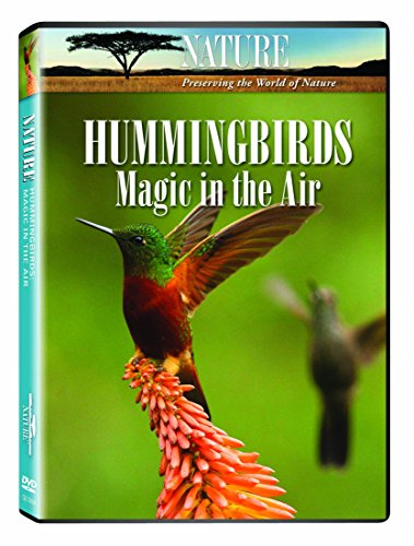 Nature: Hummingbirds - Magic in the Air - 7378