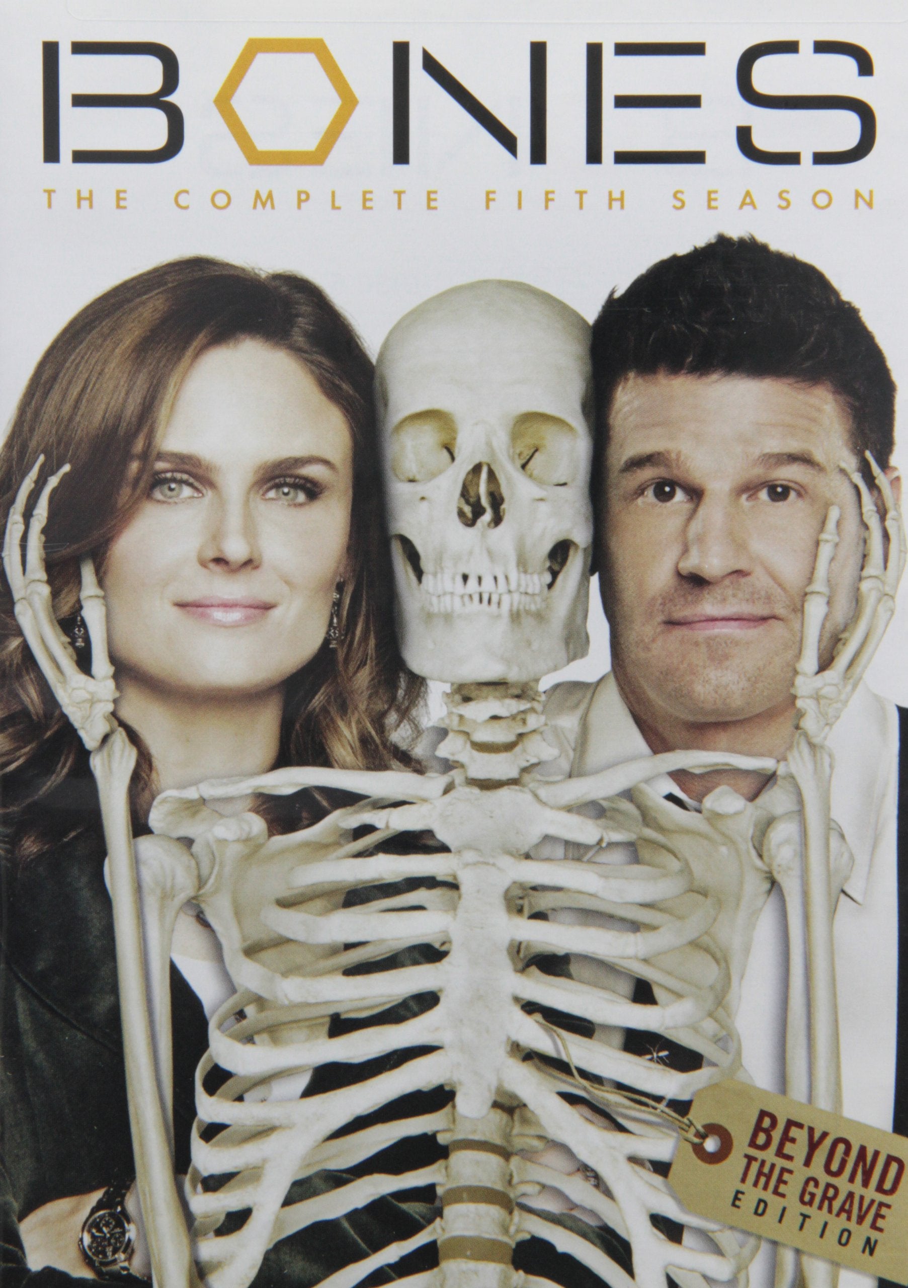 BONES: SEASON 5 - 7913