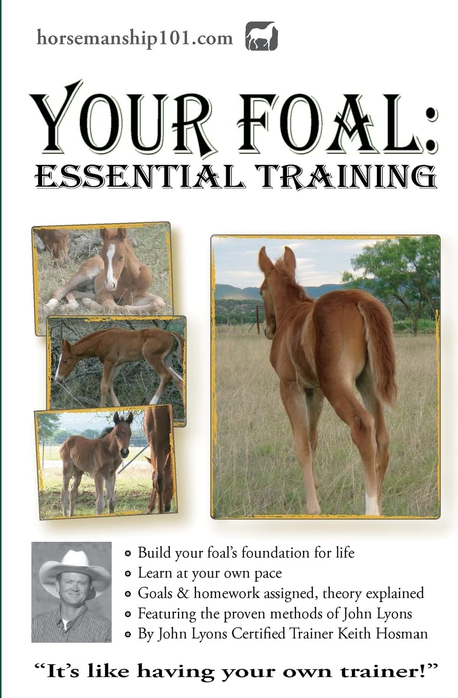 Your Foal: Essential Training (Horse Training How-To) - 1562