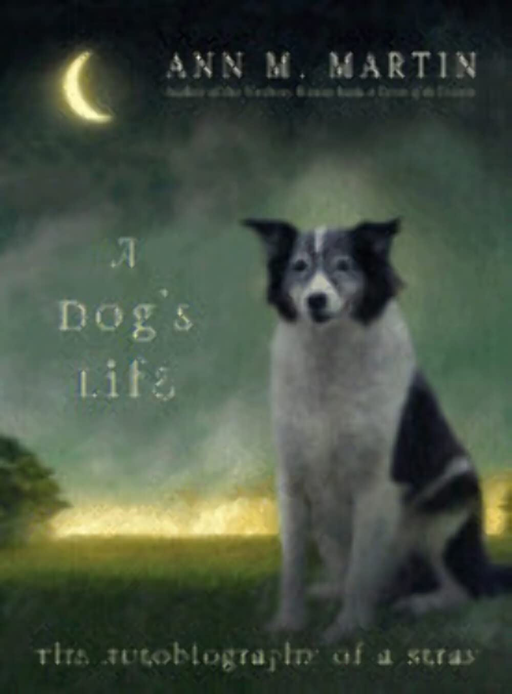 A Dog's Life: The Autobiography Of A Stray - 9239