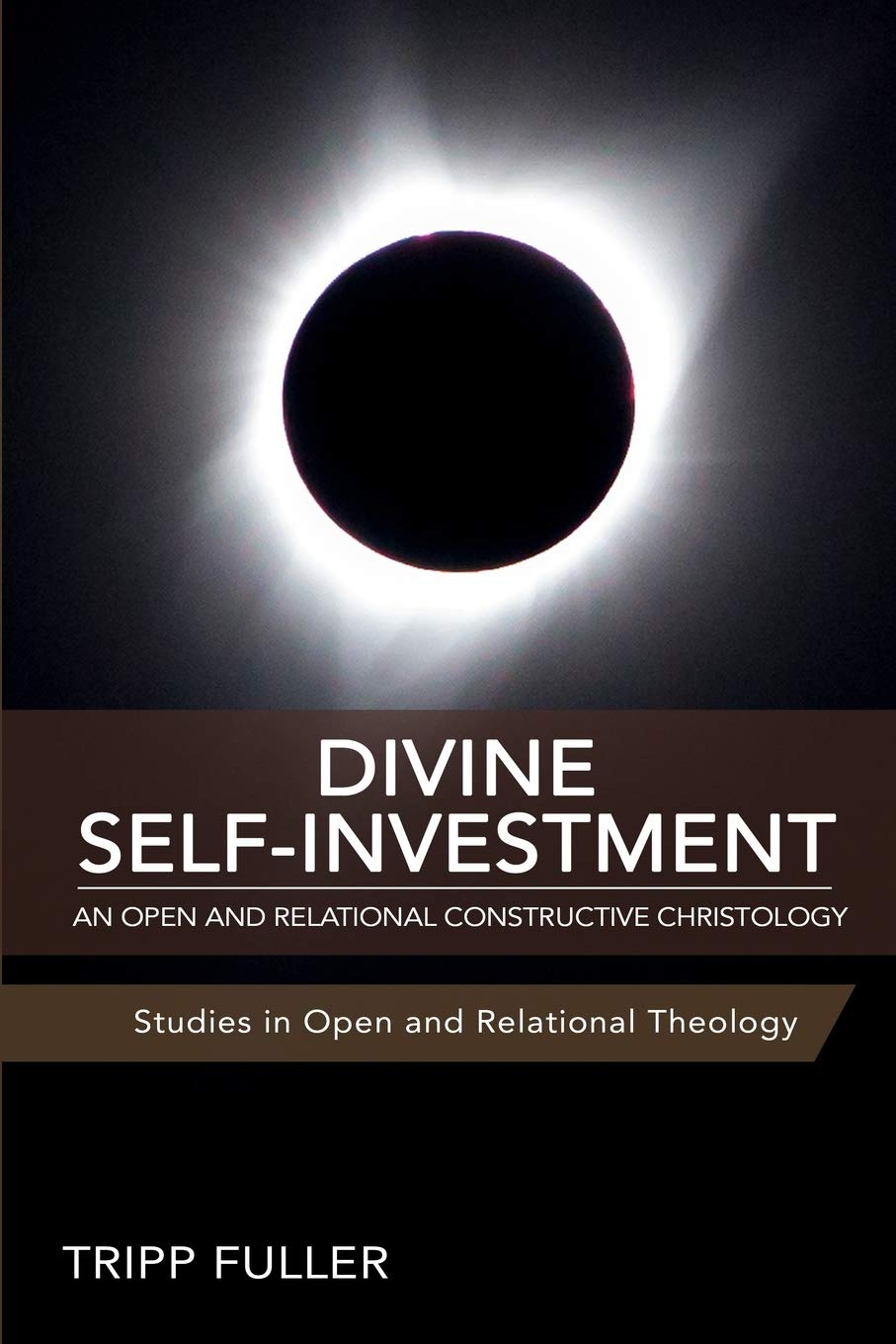 Divine Self-Investment: An Open and Relational Constructive Christology - 1495