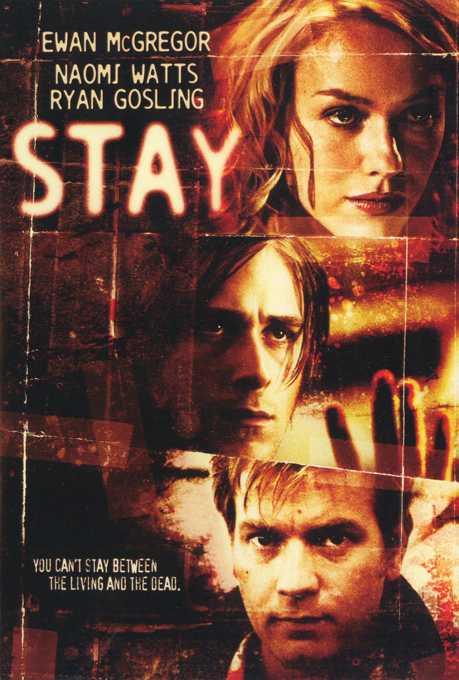 Stay - 3987