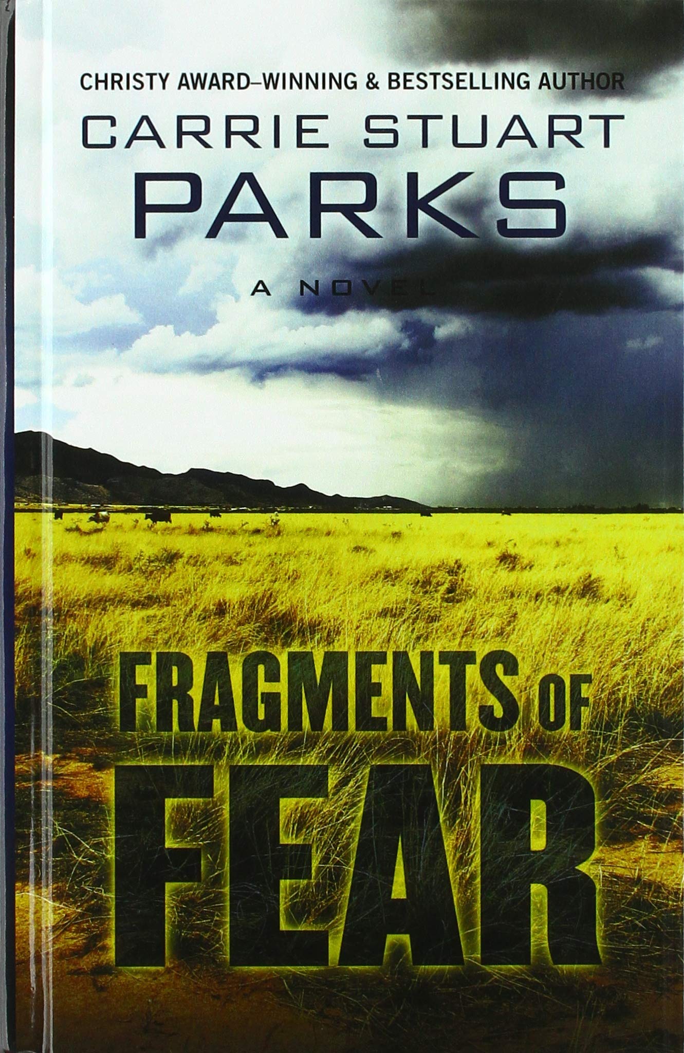 Fragments of Fear (Thorndike Press Large Print Christian Mystery) - 5029