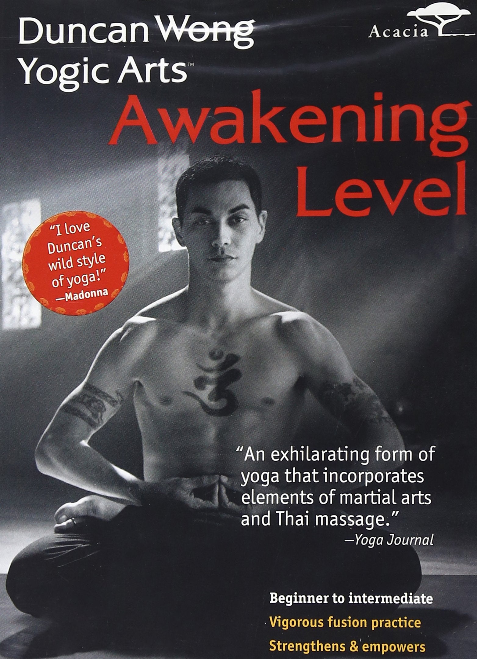 Duncan Wong Yogic Arts - Awakening Level - 2484