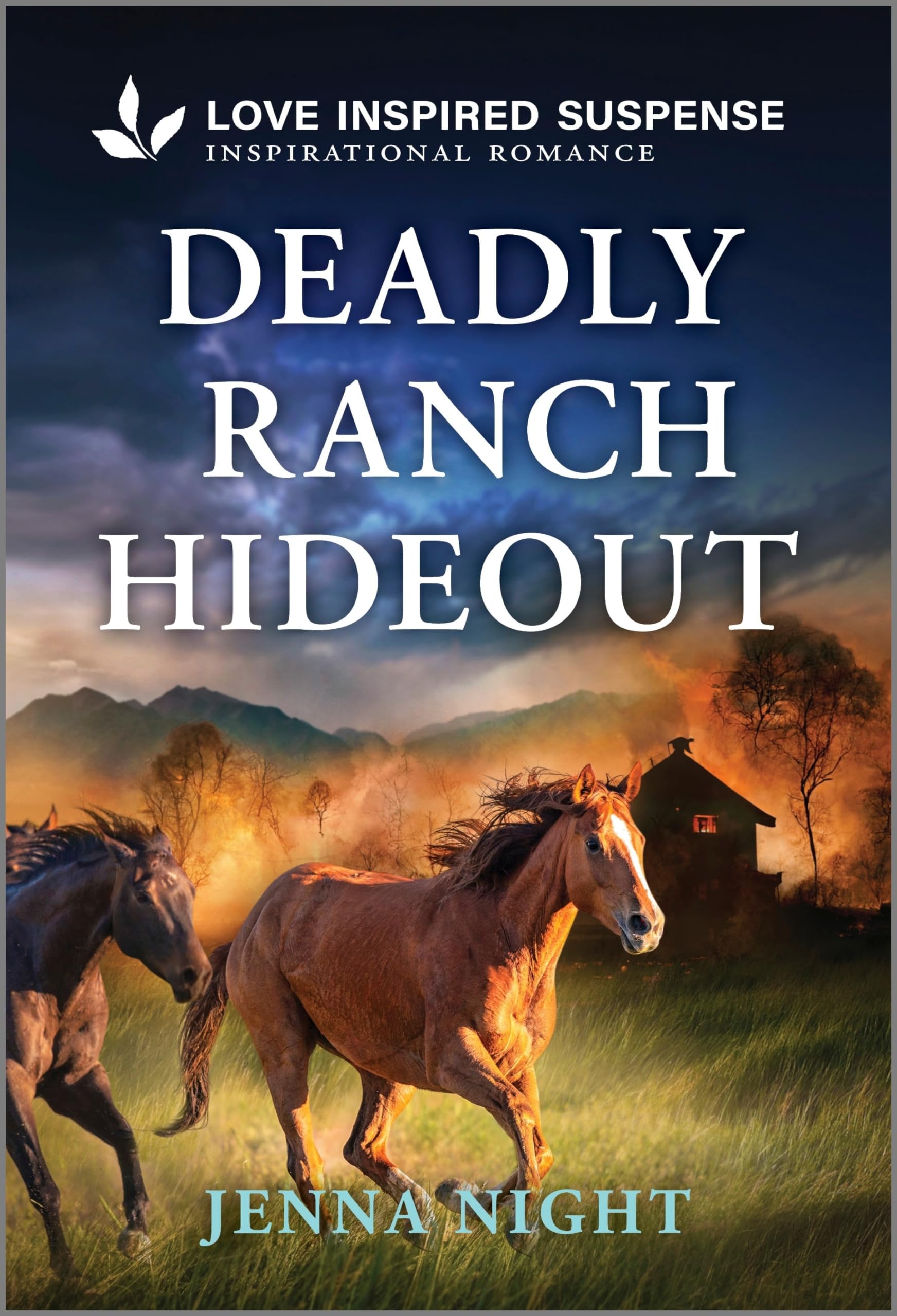 Deadly Ranch Hideout (Big Sky First Responders, 1) - 6878