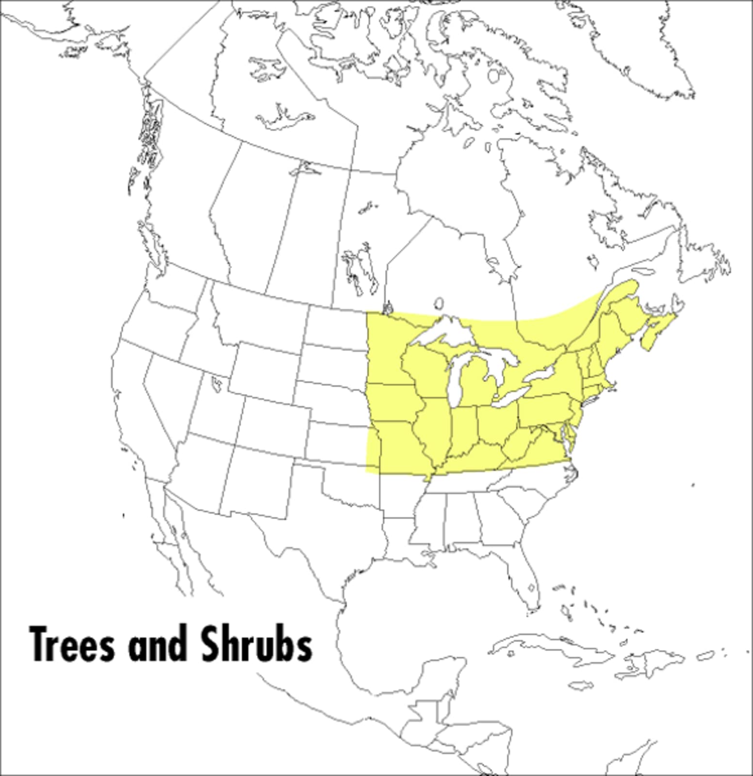 A Peterson Field Guide To Trees And Shrubs: Northeastern and north-central United States and southeastern and south-centralCanada (Peterson Field Guides) - 1914