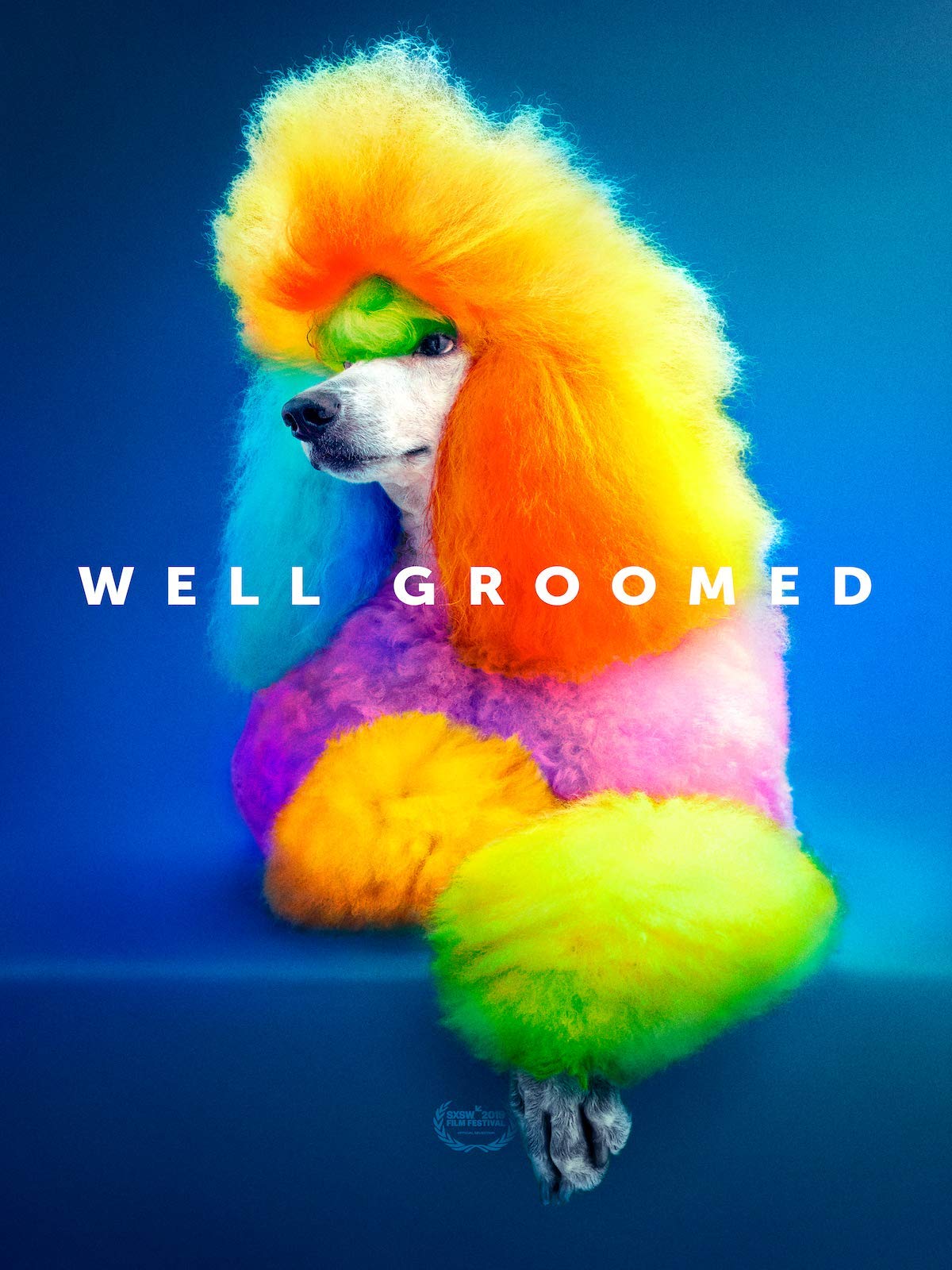 Well Groomed - 7659