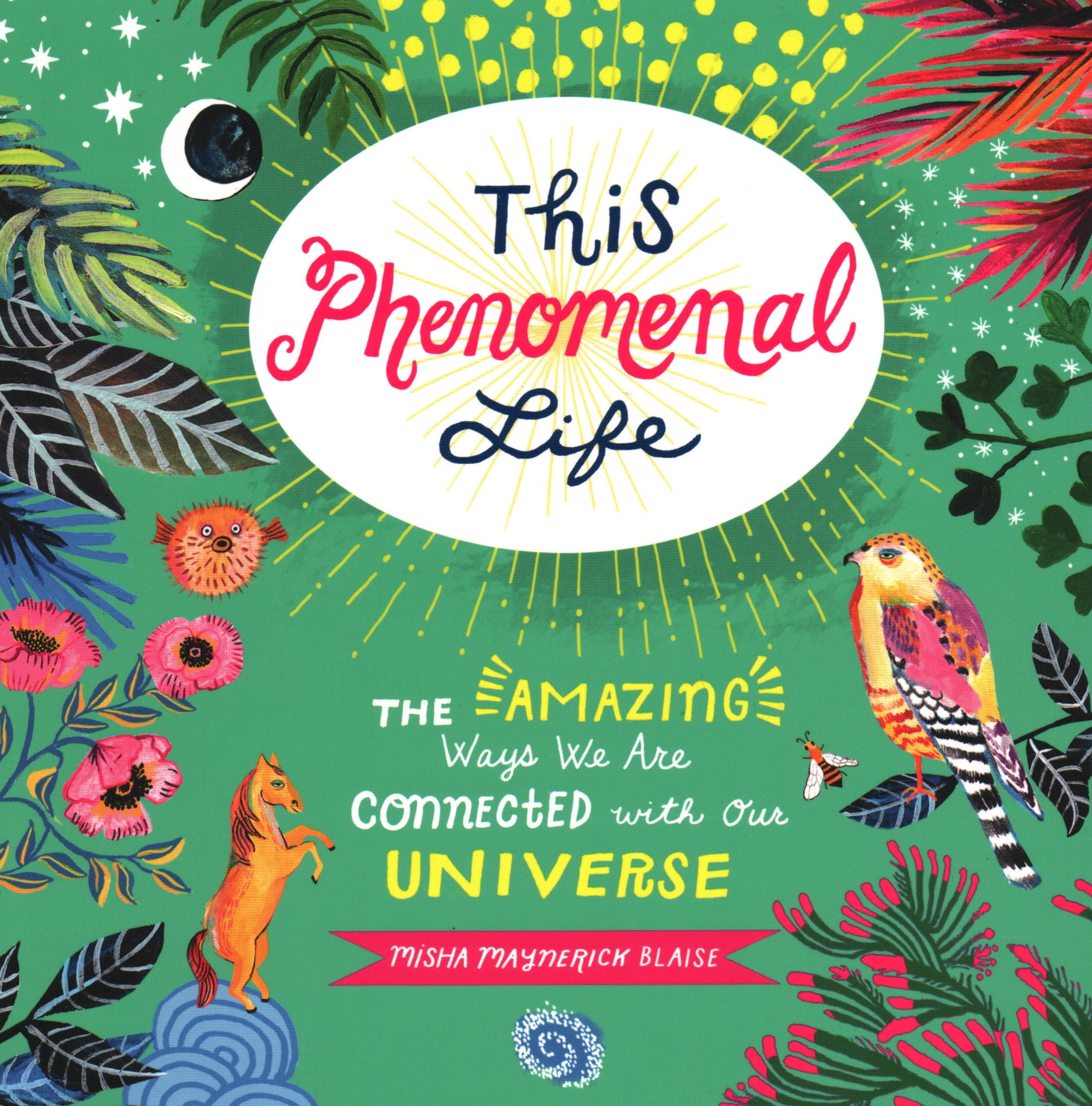 This Phenomenal Life: The Amazing Ways We Are Connected with Our Universe - 4099