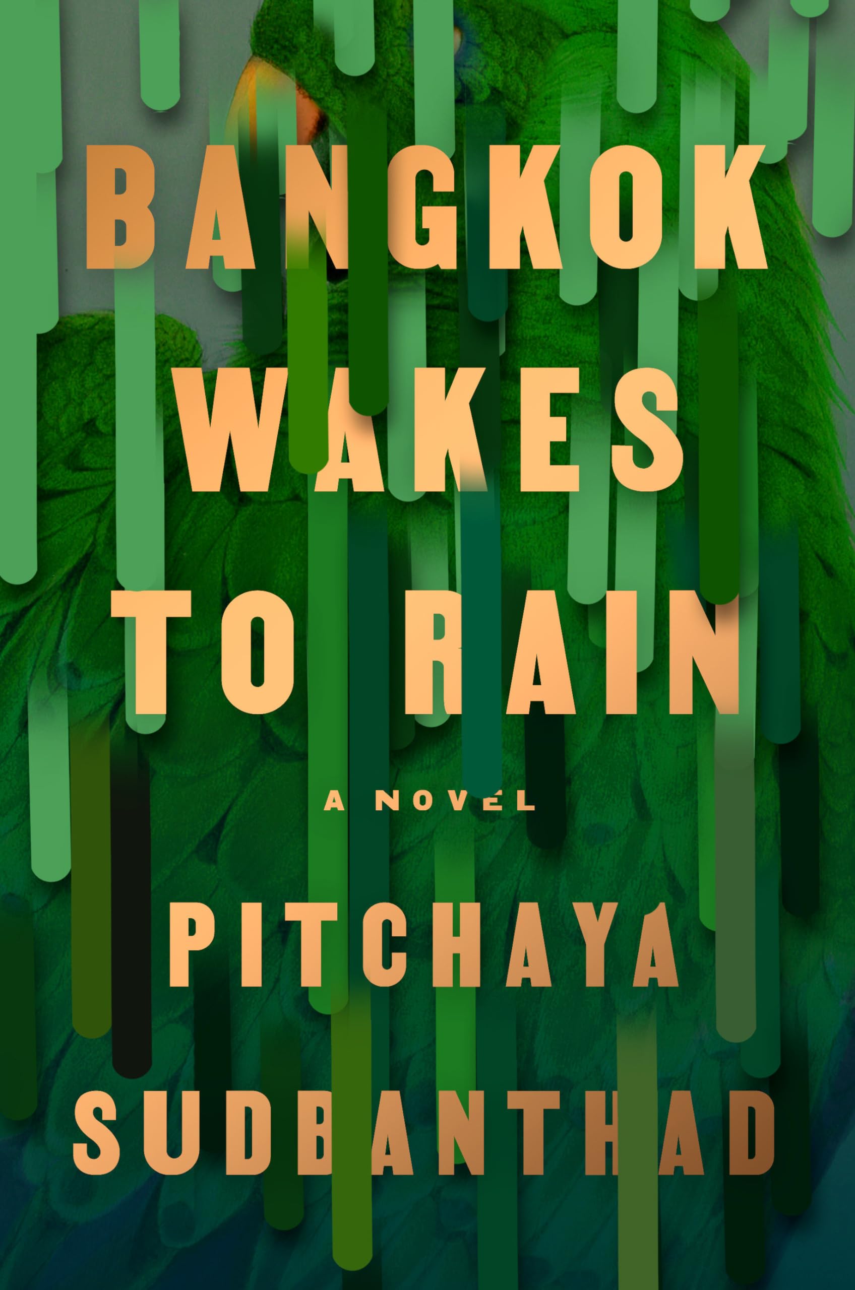 Bangkok Wakes to Rain: A Novel - 7094