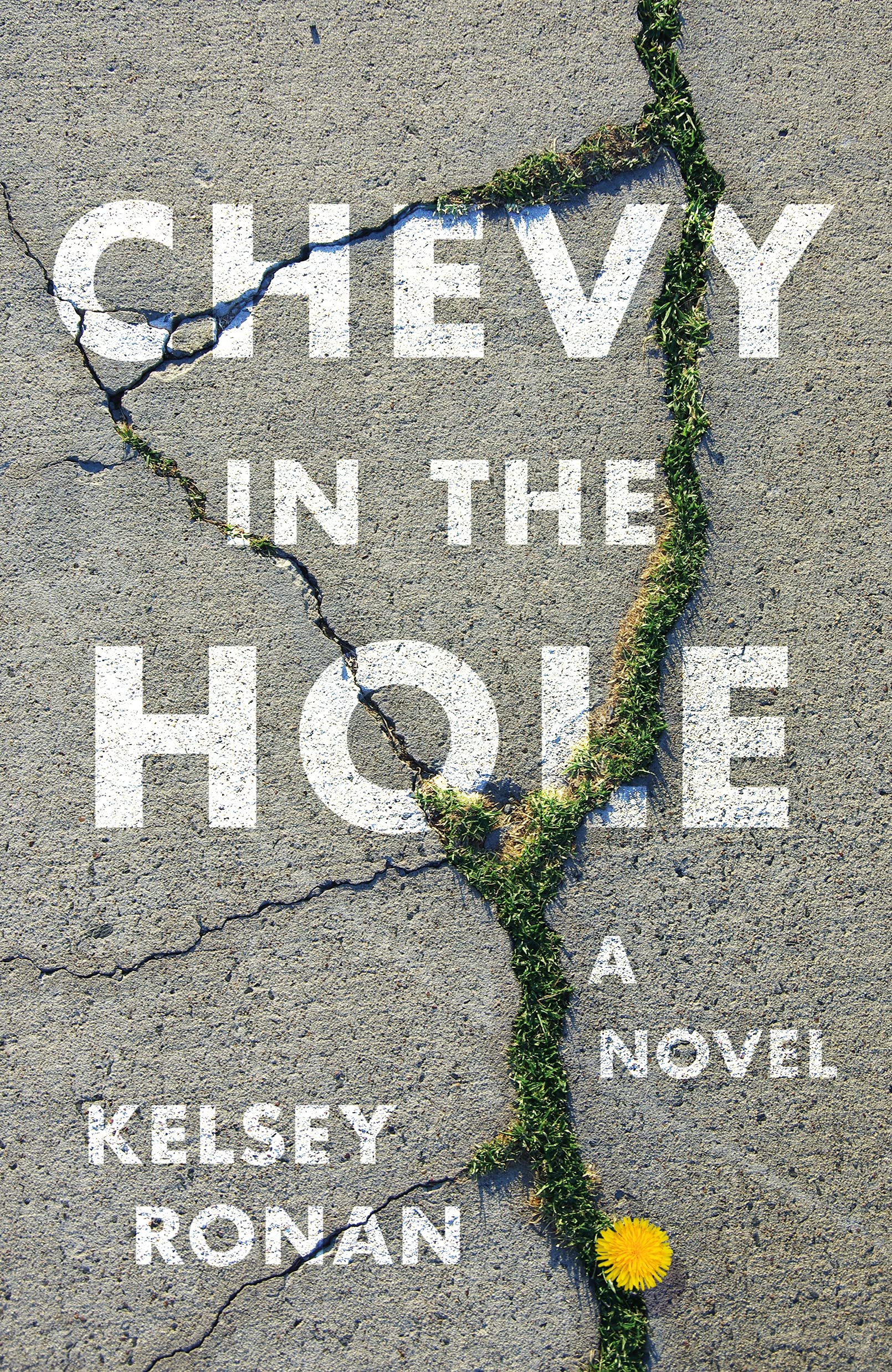 Chevy in the Hole: A Novel - 3304