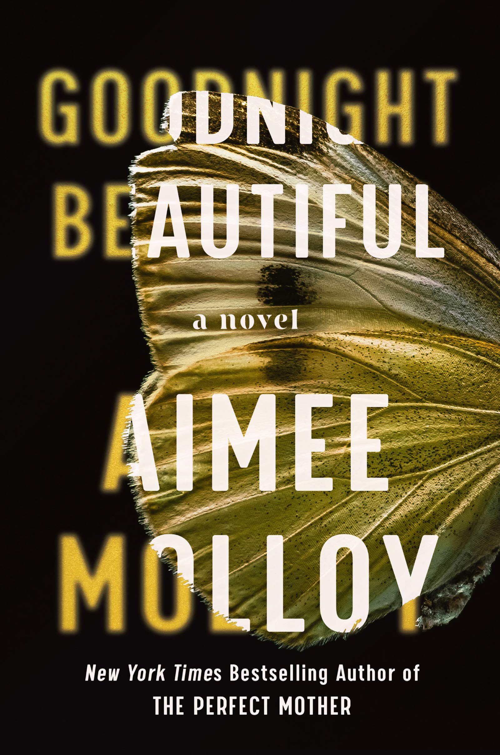 Goodnight Beautiful: A Novel - 3212