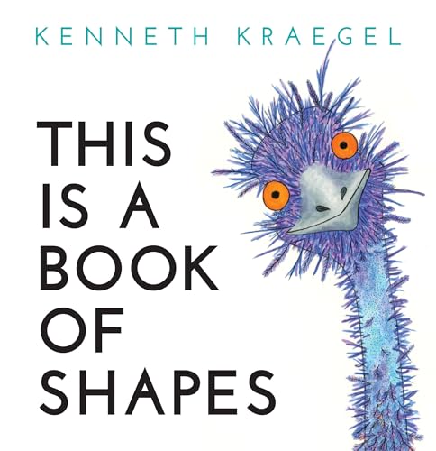 This Is a Book of Shapes - 4746