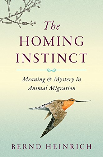 The Homing Instinct: Meaning and Mystery in Animal Migration - 6914