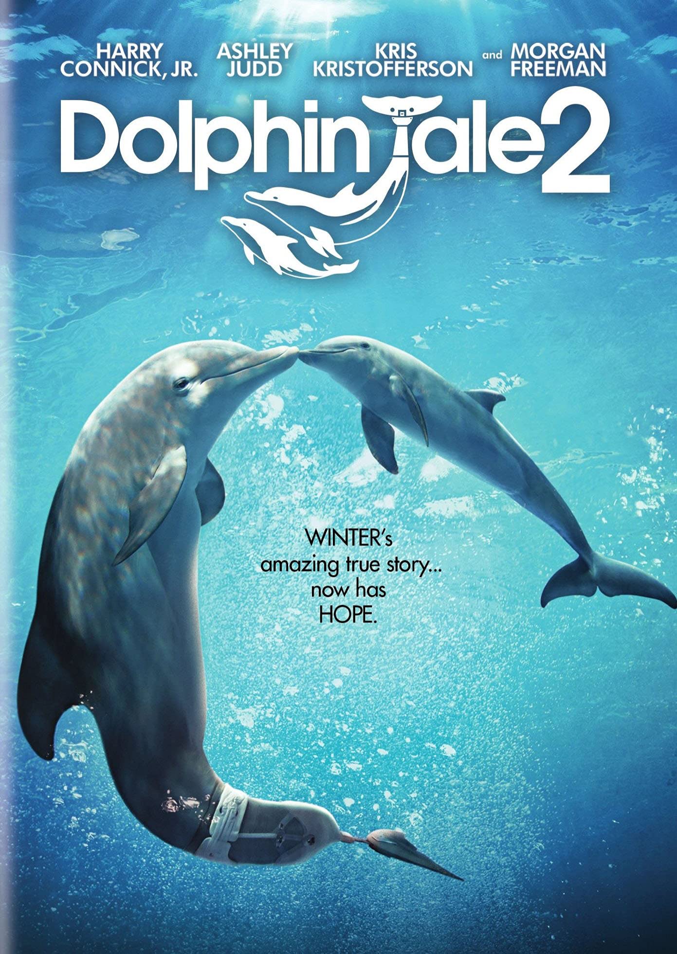 Dolphin Tale 2 - 6422