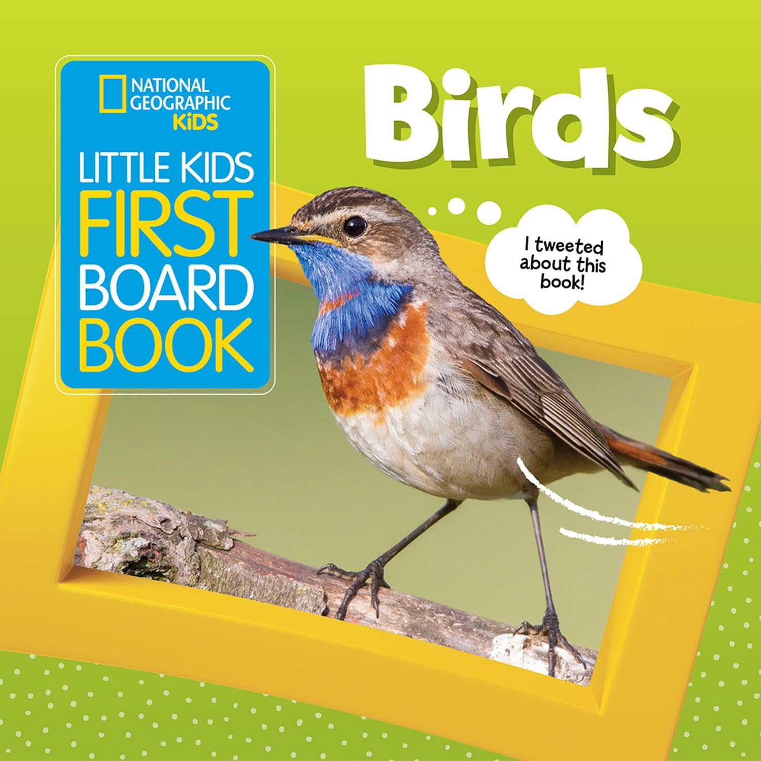 Little Kids First Board Book: Birds (First Board Books) - 3399