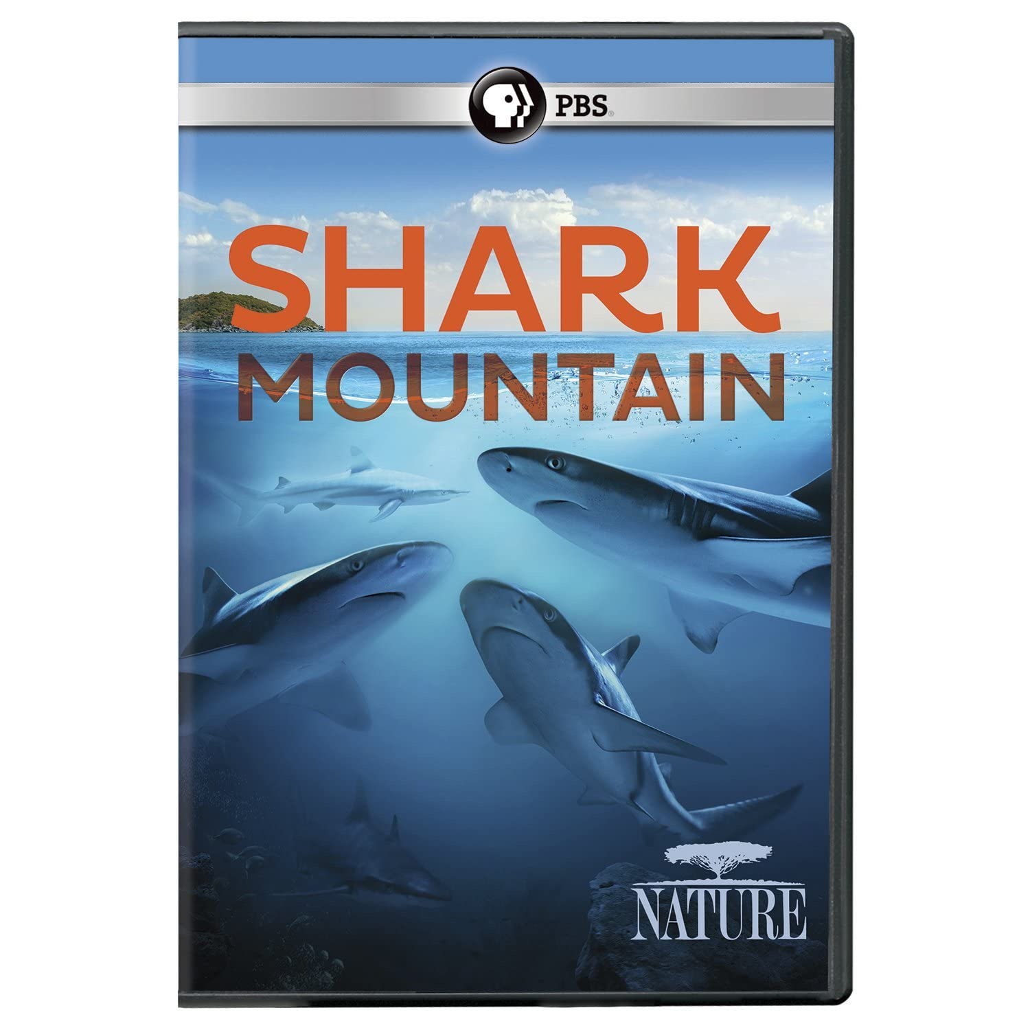 NATURE: Shark Mountain - 3717