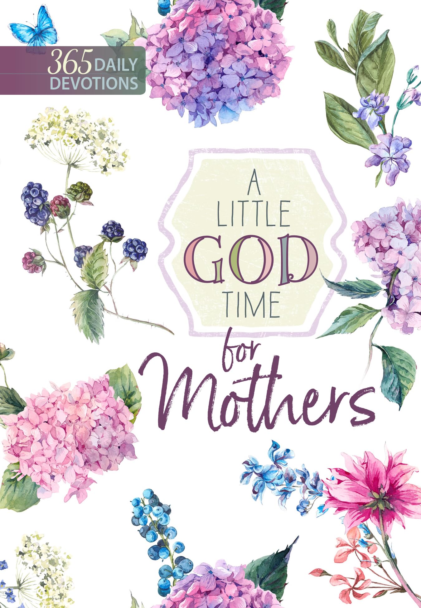 A Little God Time for Mothers: 365 Daily Devotions - 8894