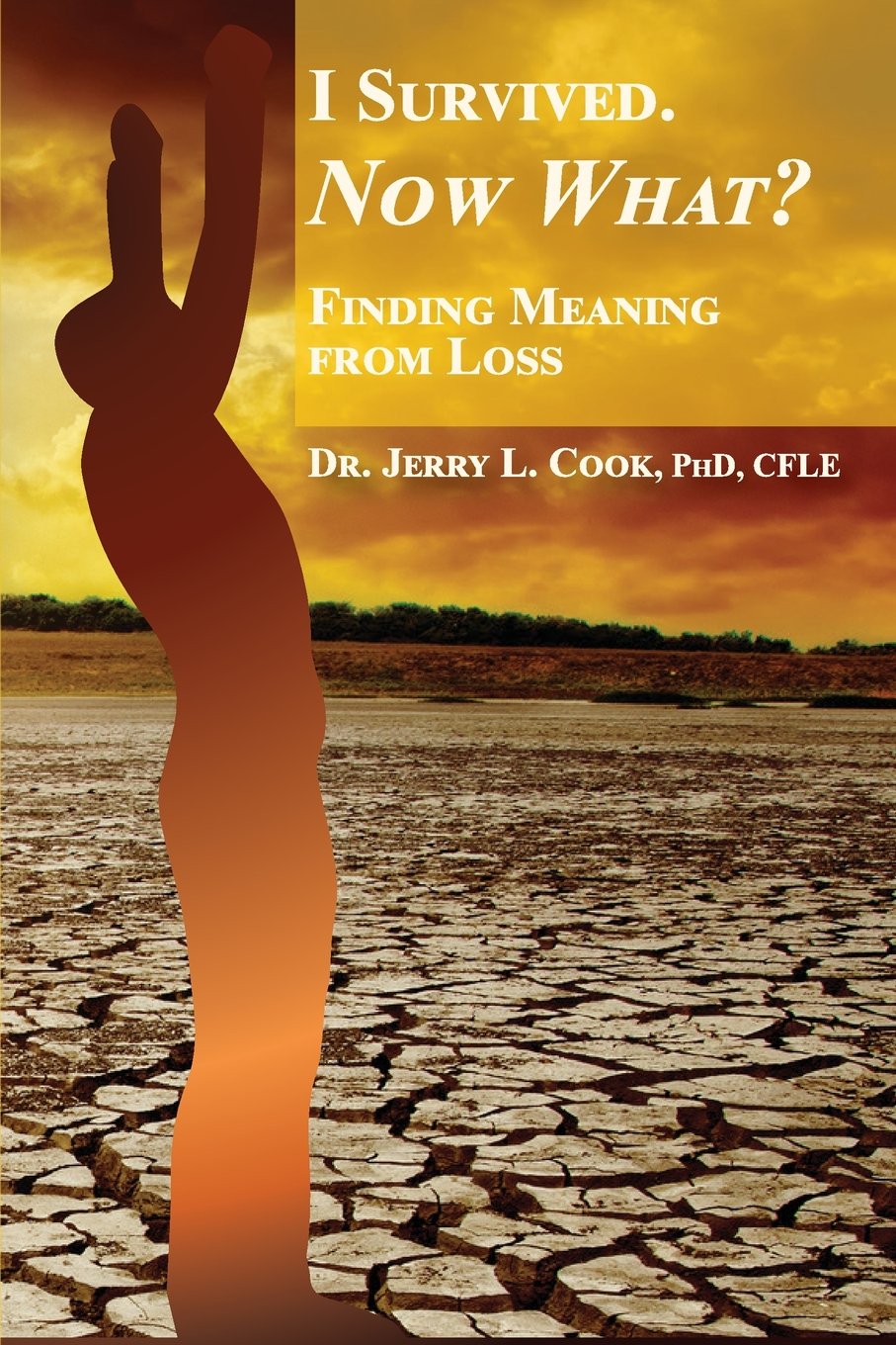 I Survived. Now What?: Finding Meaning From Loss. - 8281