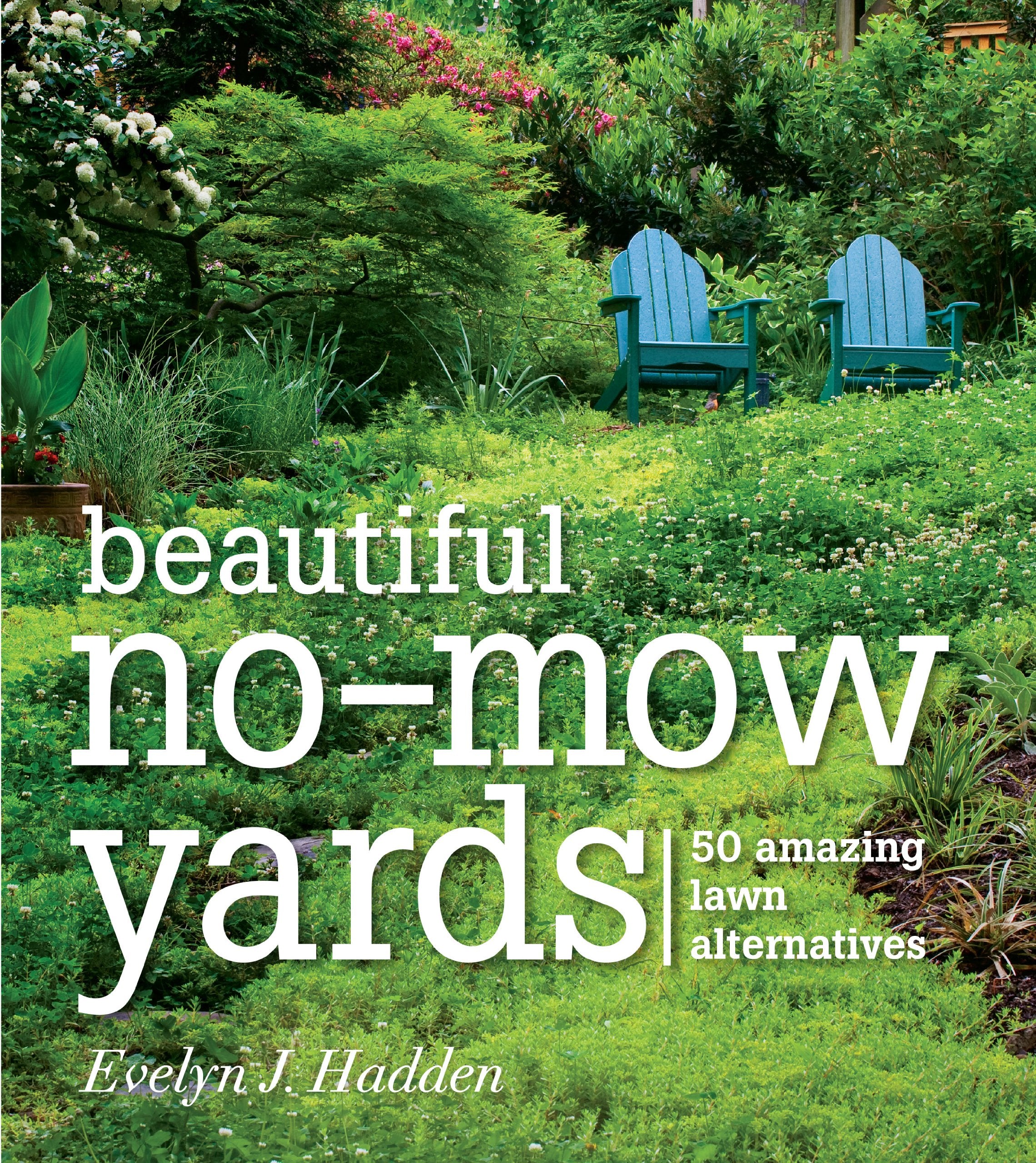 Beautiful No-Mow Yards: 50 Amazing Lawn Alternatives - 2747