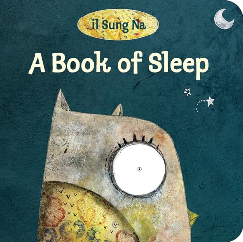 A Book of Sleep - 9619