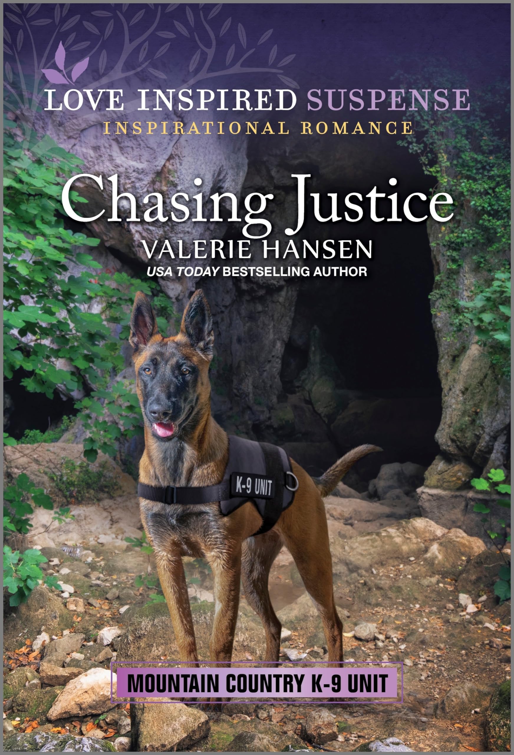 Chasing Justice (Mountain Country K-9 Unit, 3) - 4163