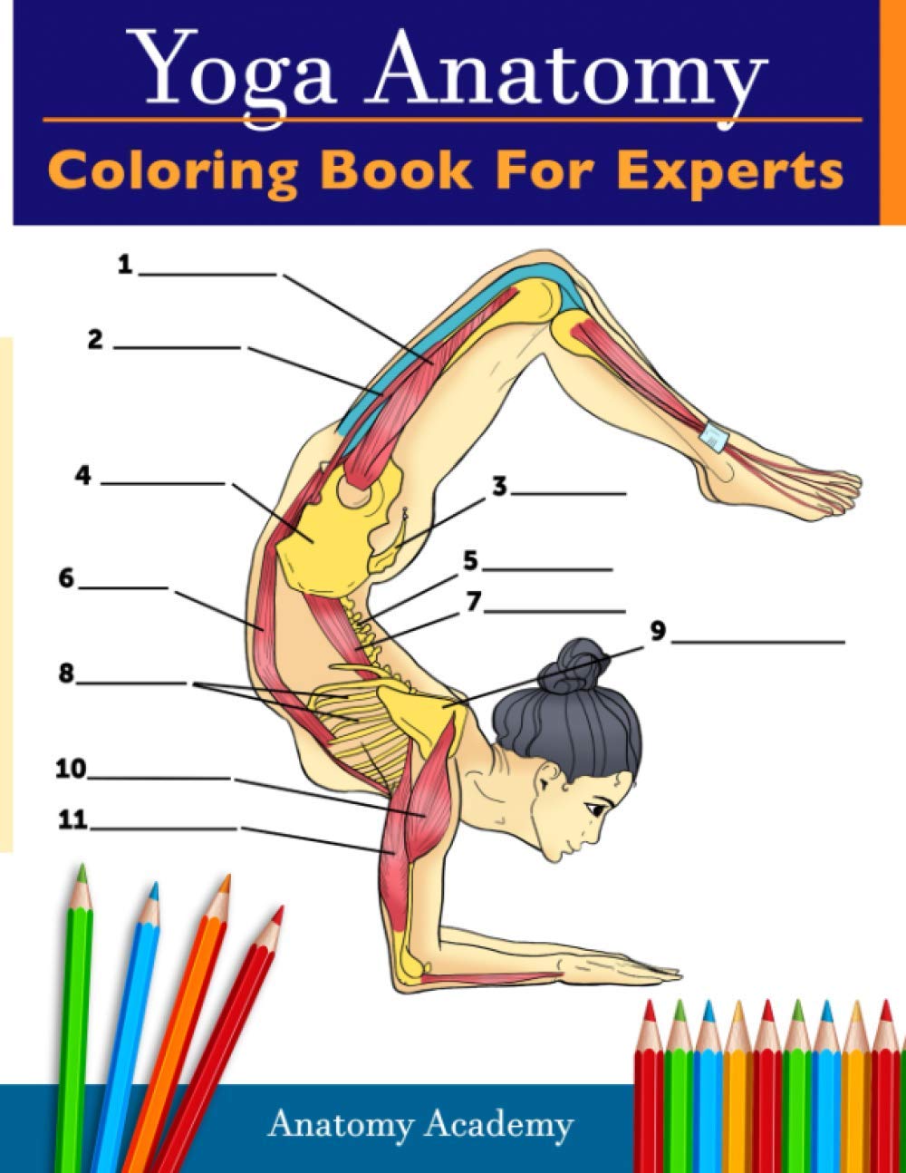 Yoga Anatomy Coloring Book for Experts: 50+ Incredibly Detailed Self-Test Advanced Yoga Poses Color workbook | Perfect Gift for Yoga Instructors, Teachers & Enthusiasts - 6225