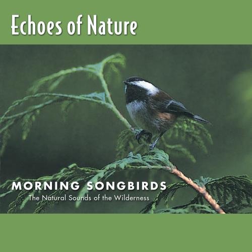 Morning Songbirds: Echoes of Nature 8 - 9143