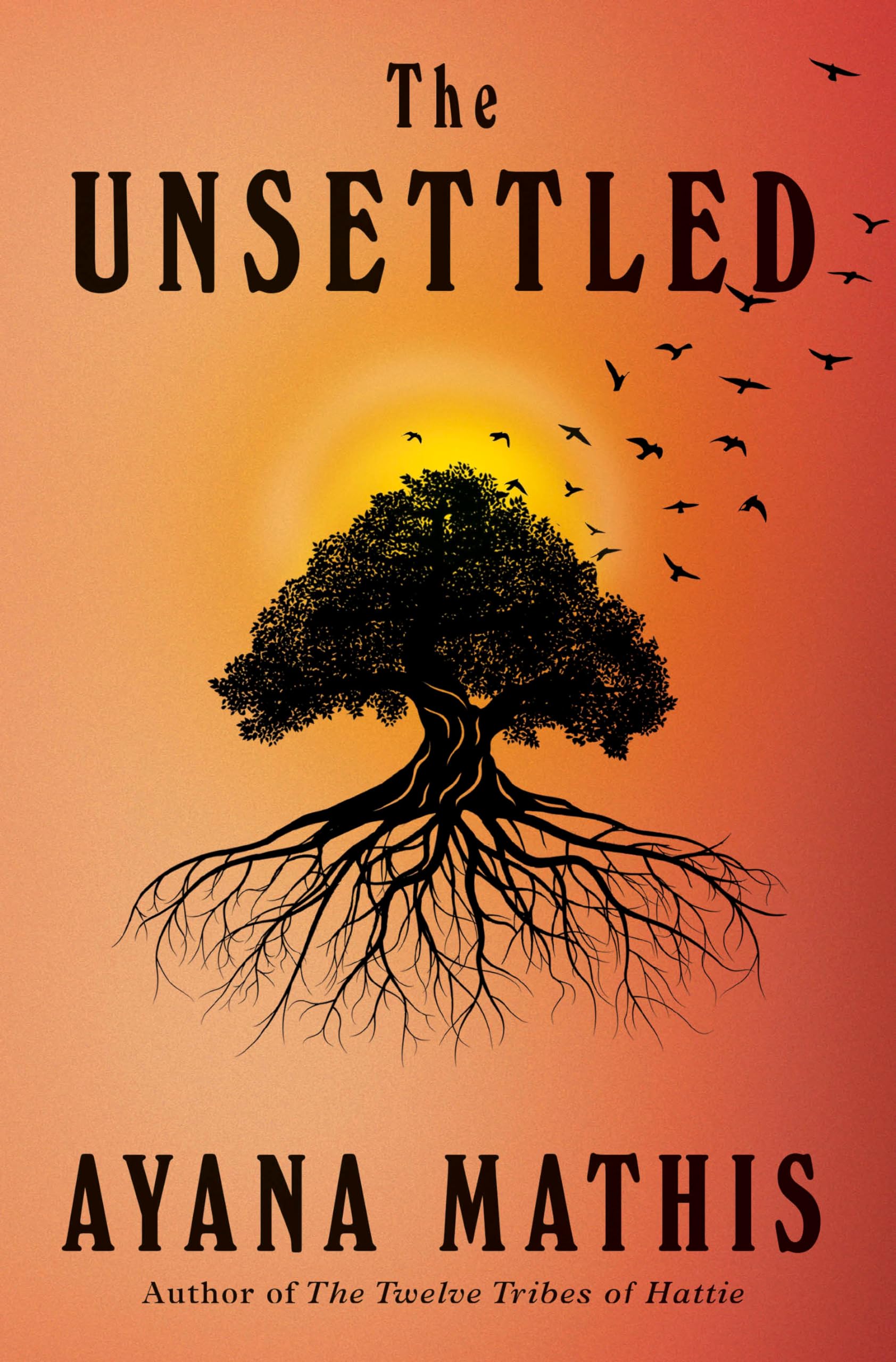 The Unsettled: A novel - 8560