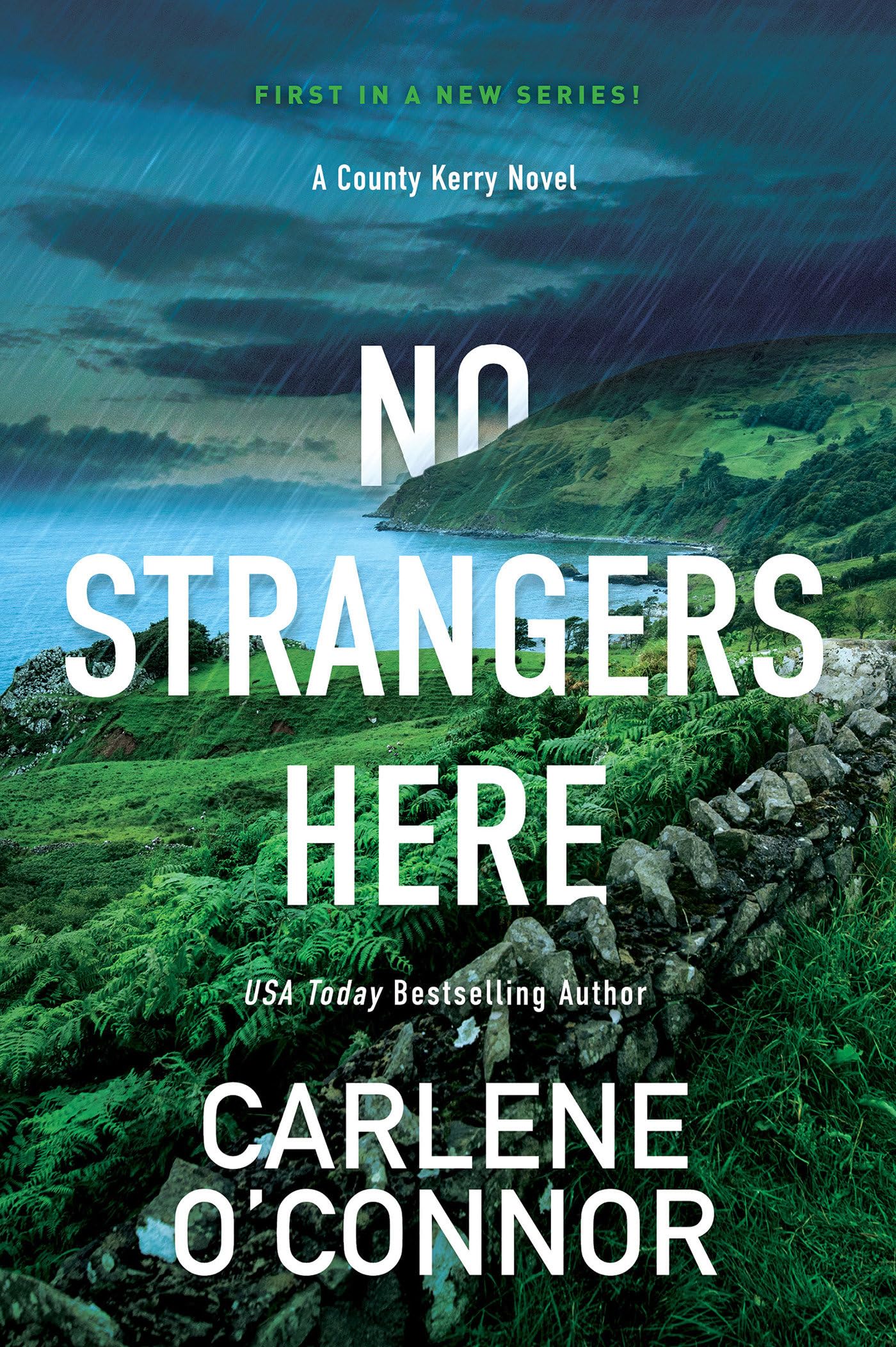 No Strangers Here: A Riveting Irish Thriller (A County Kerry Novel) - 3163